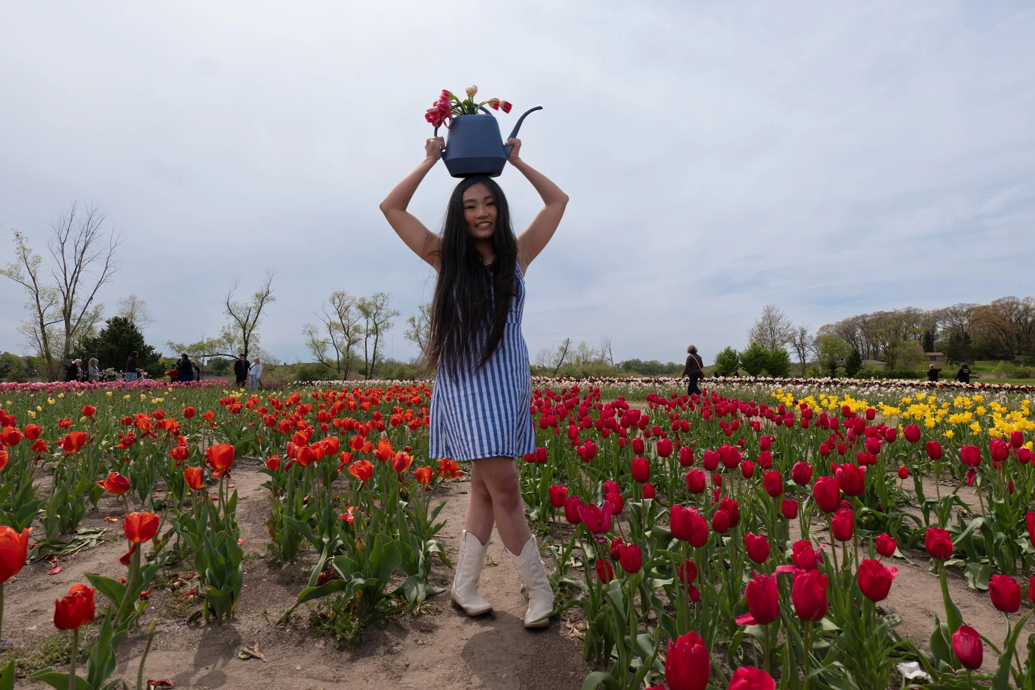 A woman with long dark hair wearing a blue and white striped dress and white cowboy boots is in a tulip field, holding a watering can with tulips above her head.