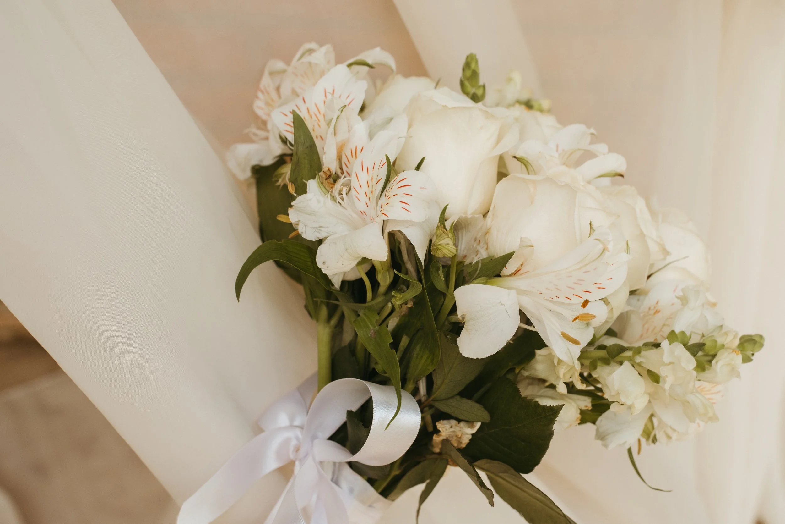 photos-157.jpg