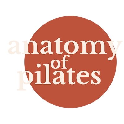 Anatomy of Pilates