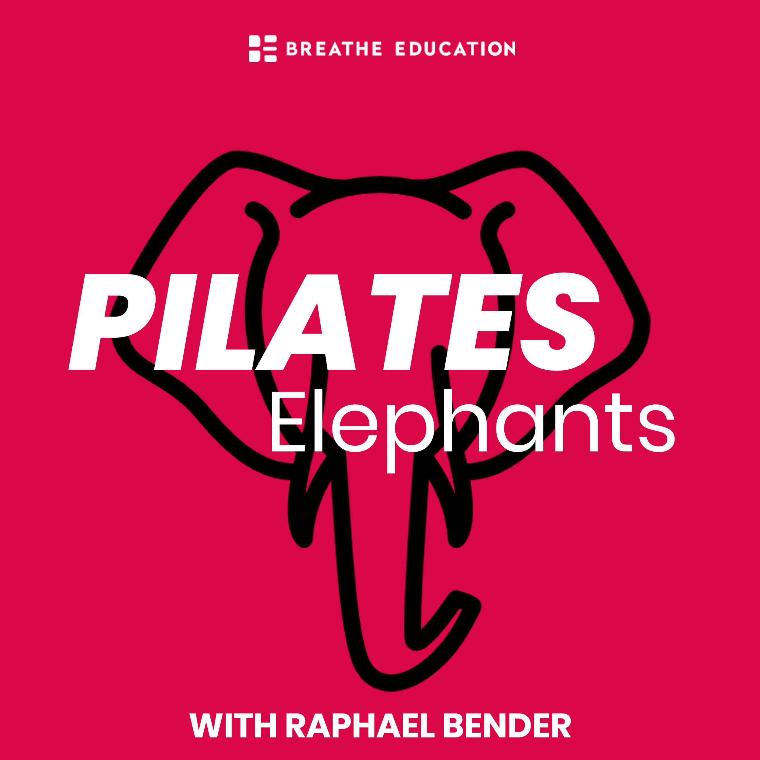 Pilates Elephants by Breathe Education