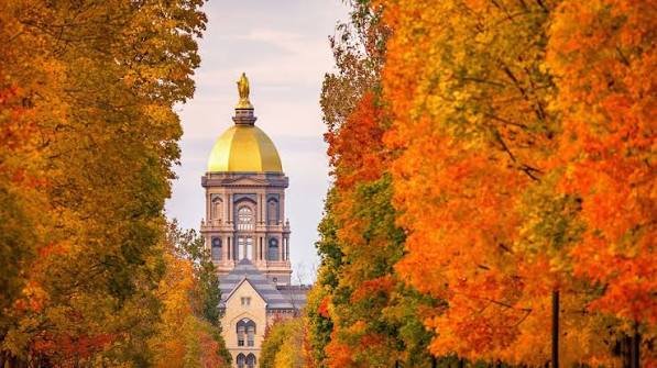 Thursday Tidbits — Stanford