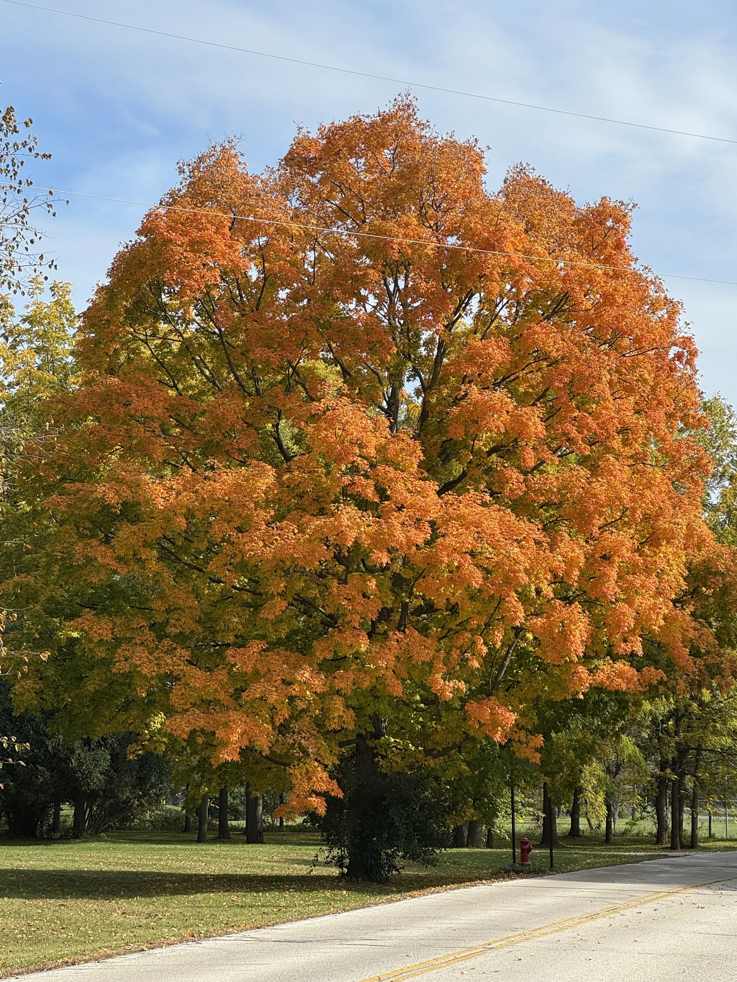 October—Change can be beautiful
