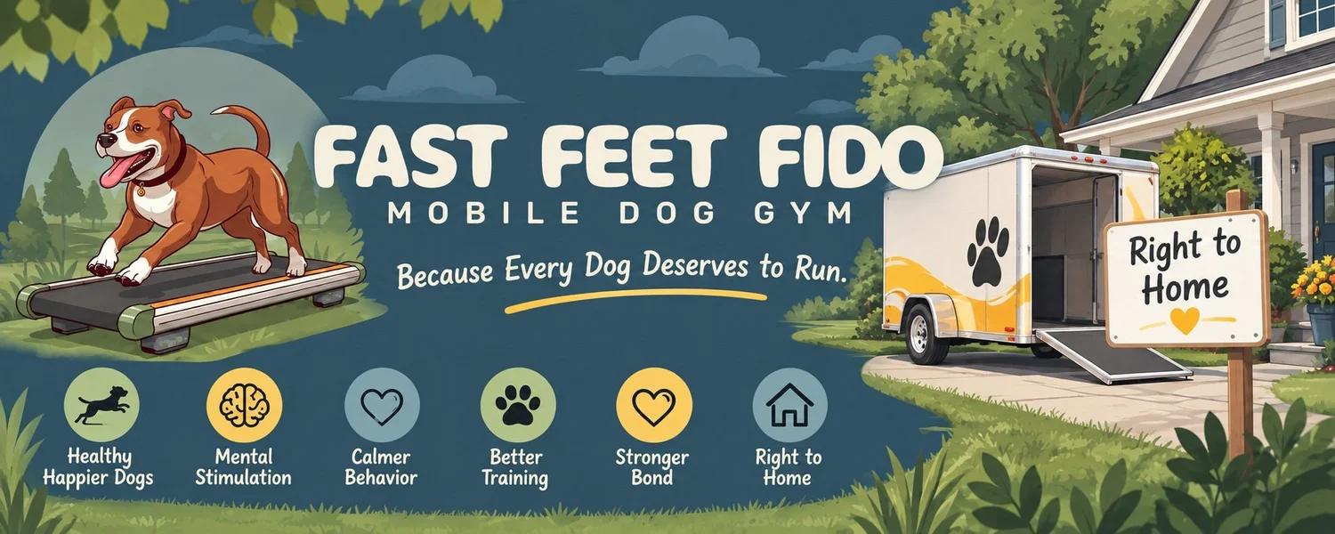 Fast Feet Fido