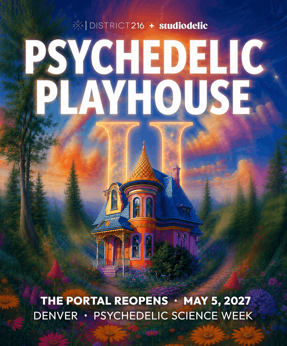 Psychedelic Playhouse II poster