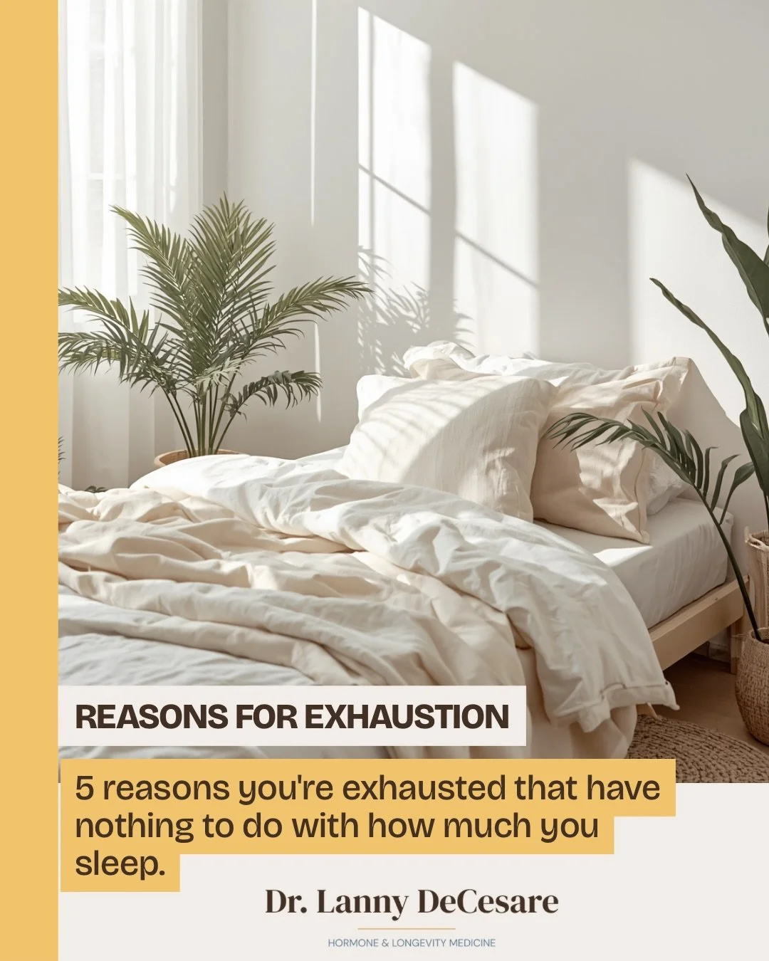 😴 Exhaustion and low energy is one of the top concerns I hear from my patients. It&rsquo;s a symptom with a lot of possible causes. If you&rsquo;ve had a basic panel run and been told &lsquo;everything&rsquo;s fine&rsquo; and you still feel like you