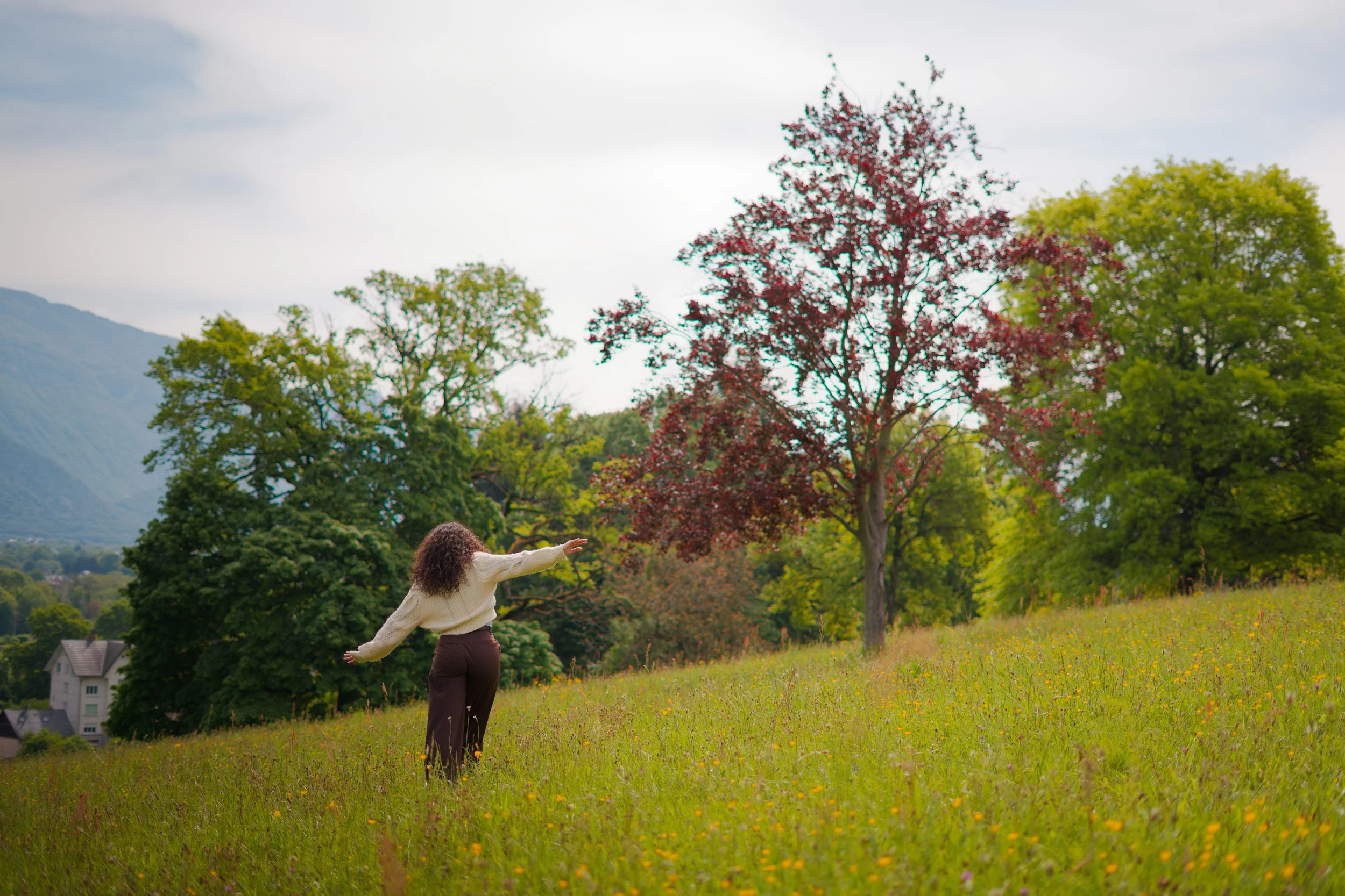 A7400448_DxO.jpg