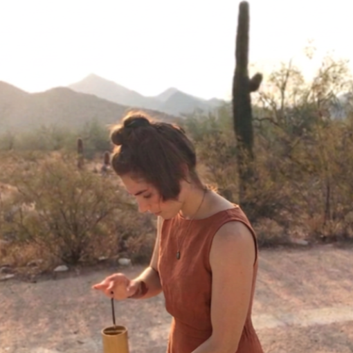 Sonoran+desert+koshi+by+Mom+dress+version.png