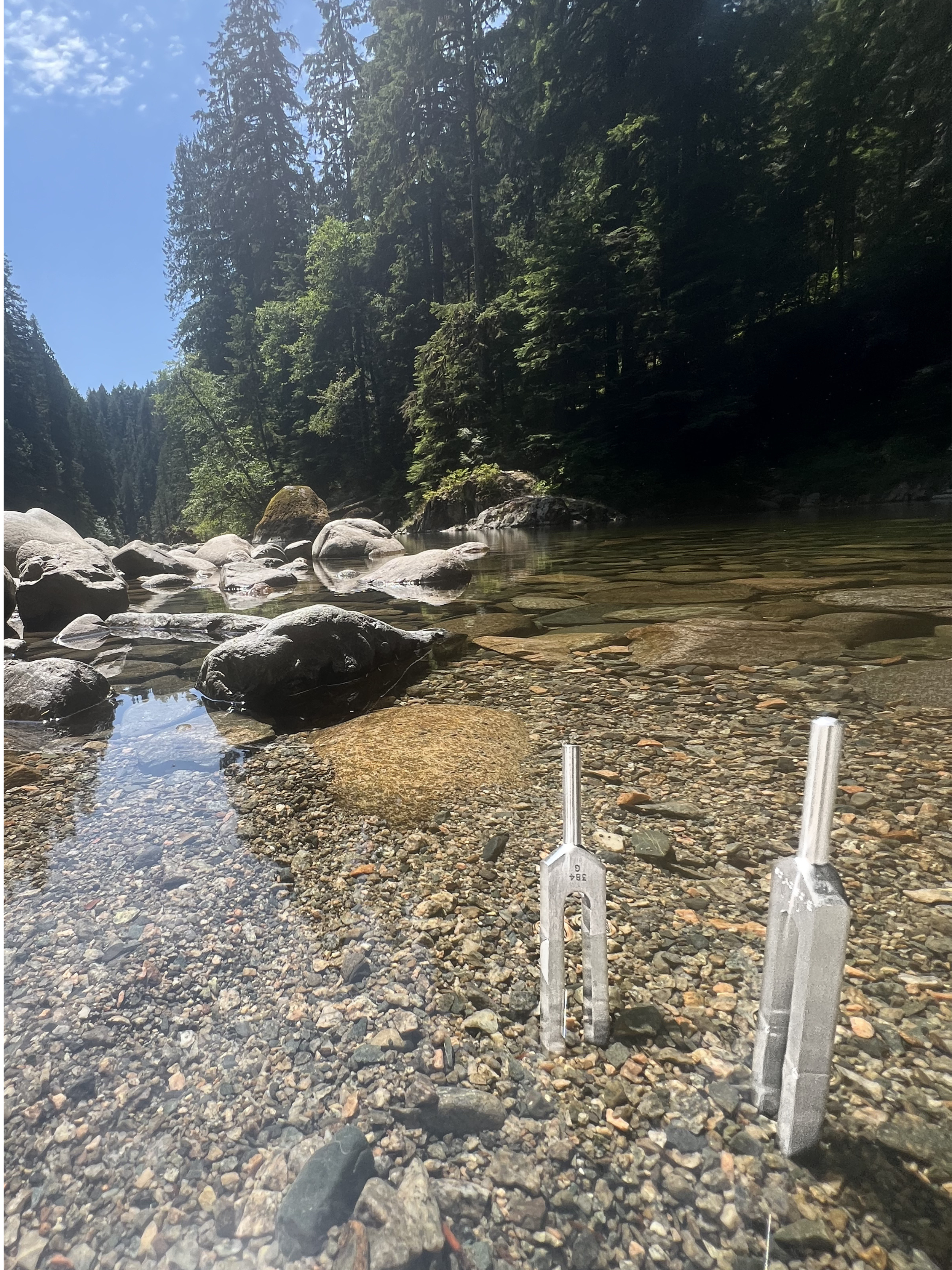 tuning forks vancouver 1.png