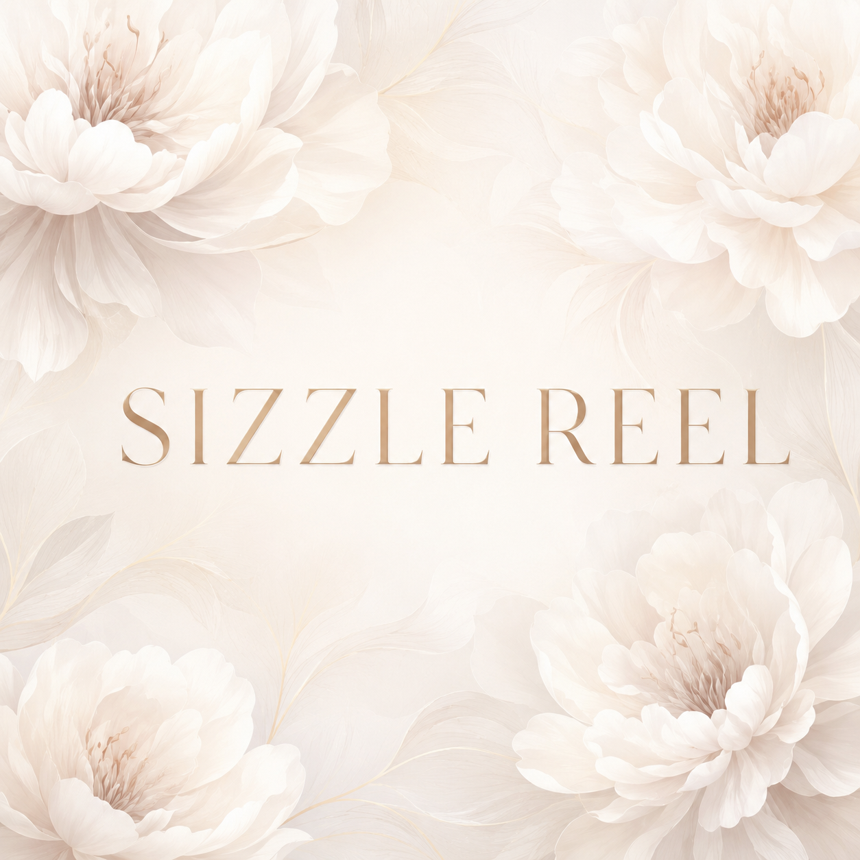 Sizzle Reel