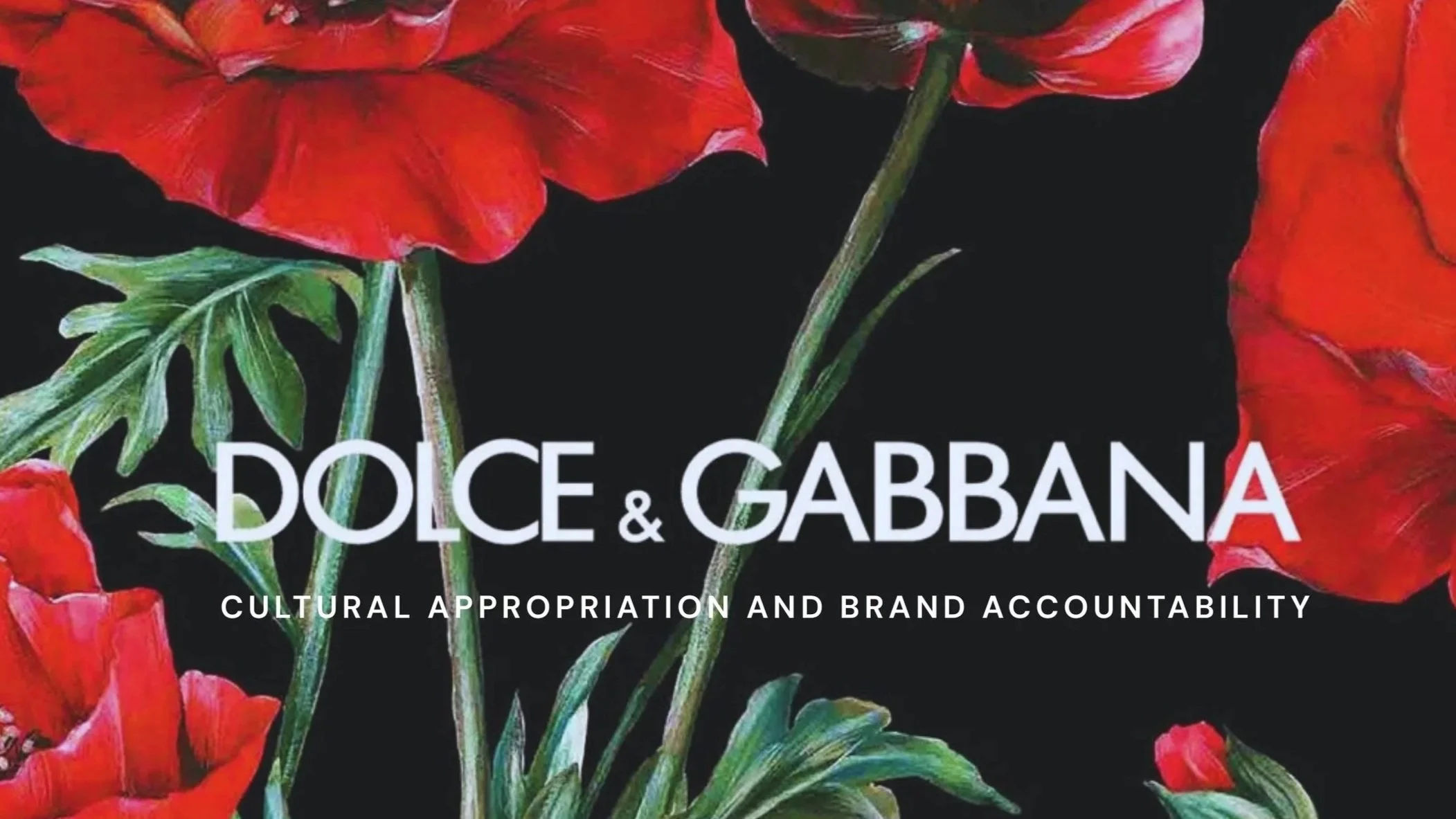 Dolce & Gabanna Case Study