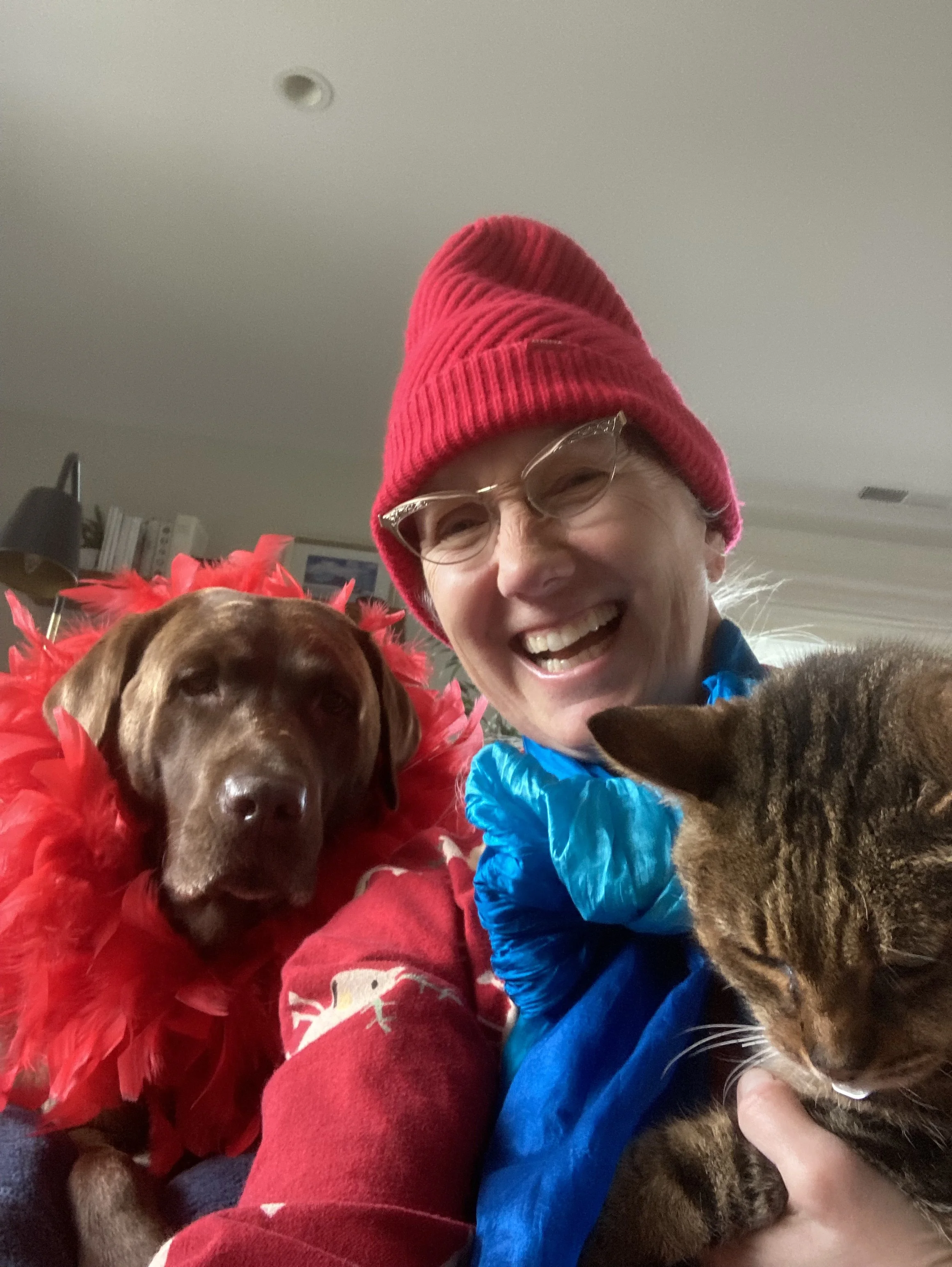 GINGER_IMG_7317.jpeg