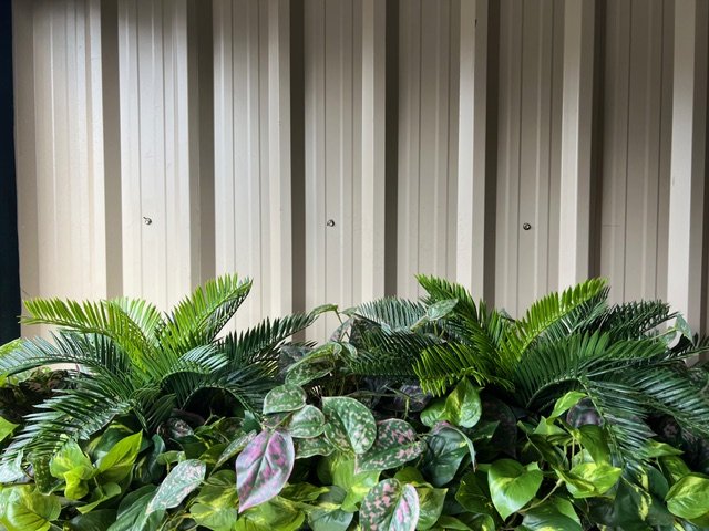 IMG_7239.jpeg