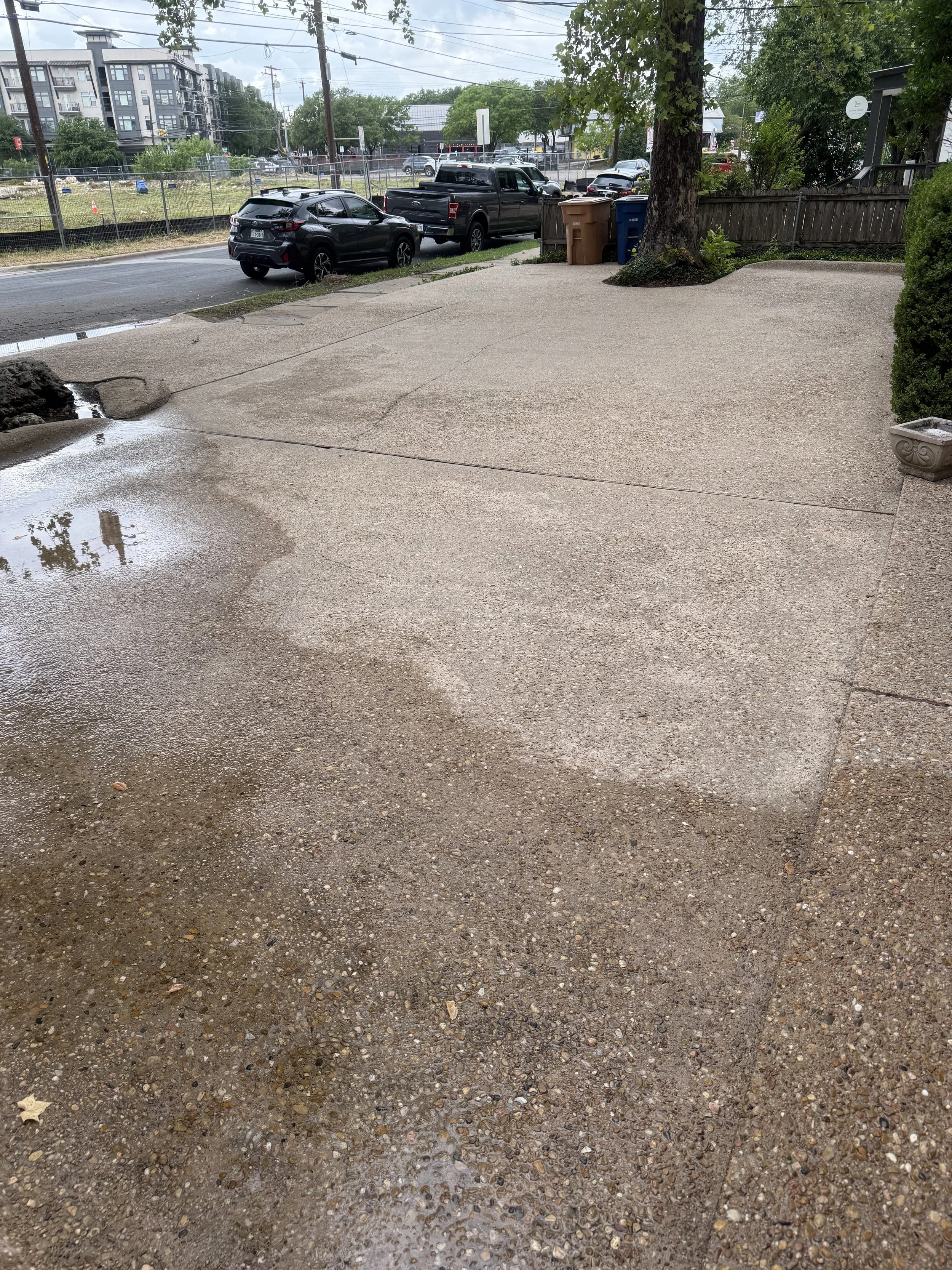 A concrete sidewalk with wet patches, next to a small patch of grass and a tree in a residential area. Several cars are parked across the street, with buildings and power lines in the background. A brown trash bin and blue recycling bin are near the tree.