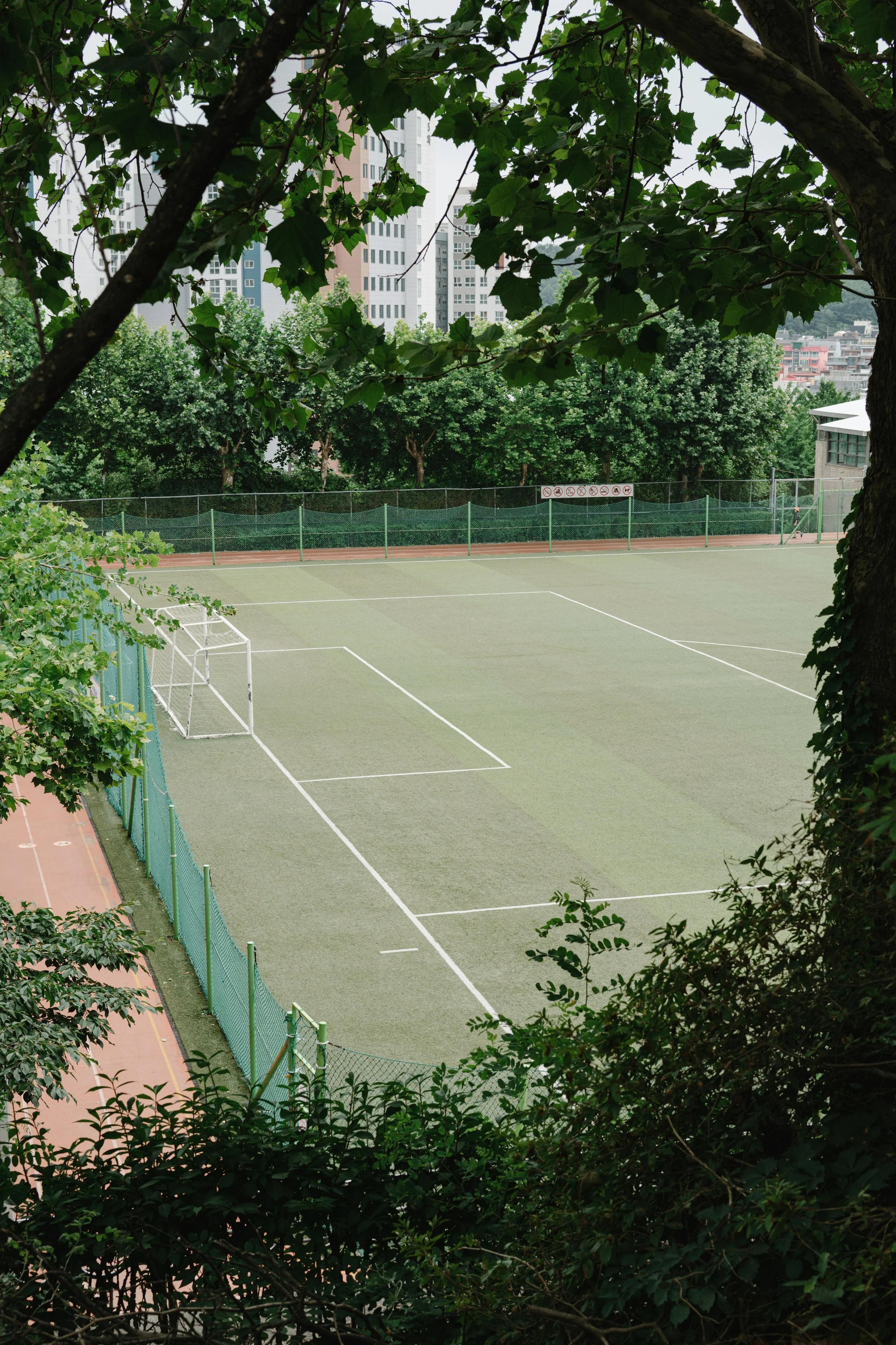An empty tennis court surrounded by green trees with tall buildings in the background, viewed through tree branches and leaves.
