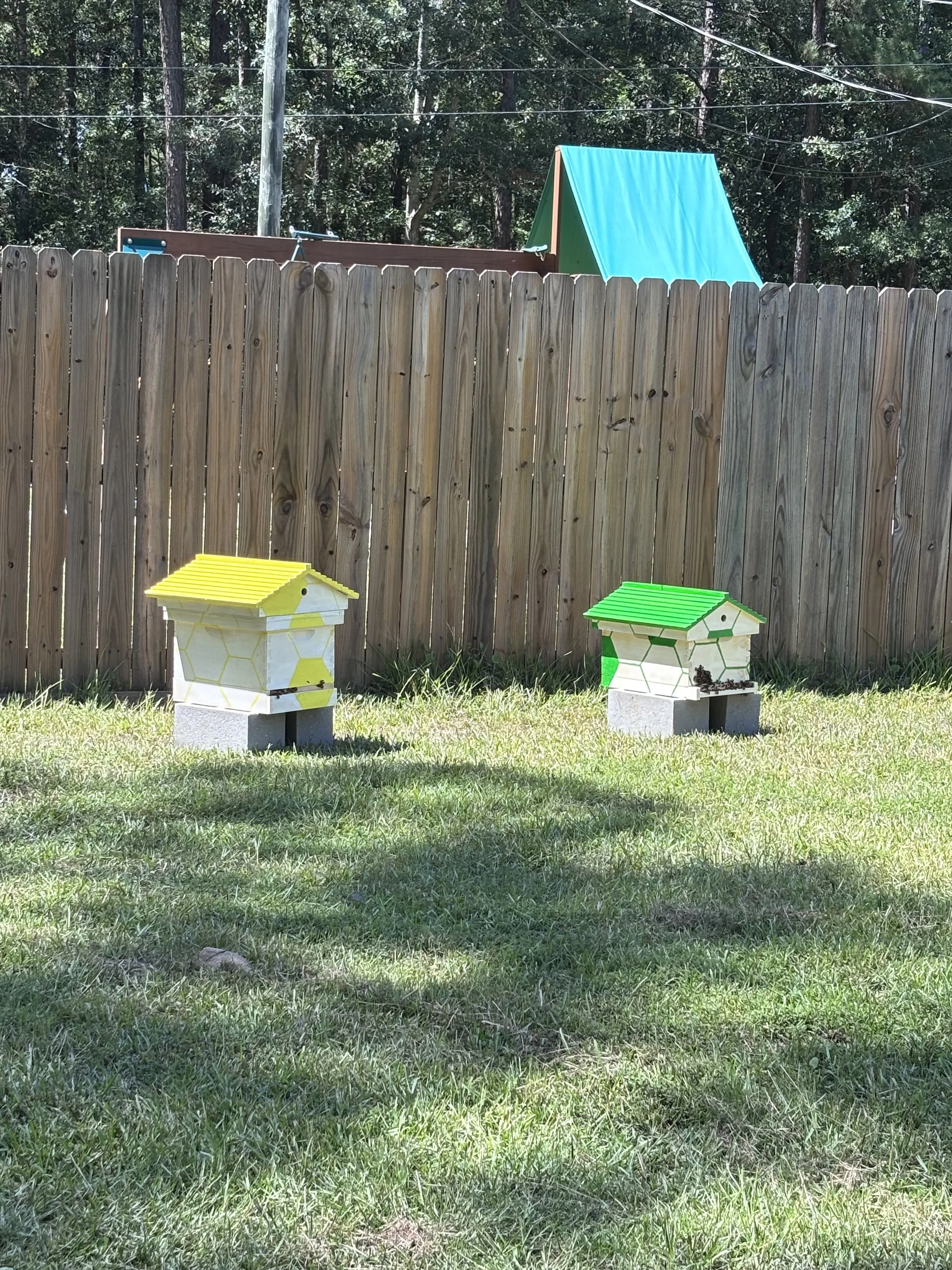 Beehives.jpeg