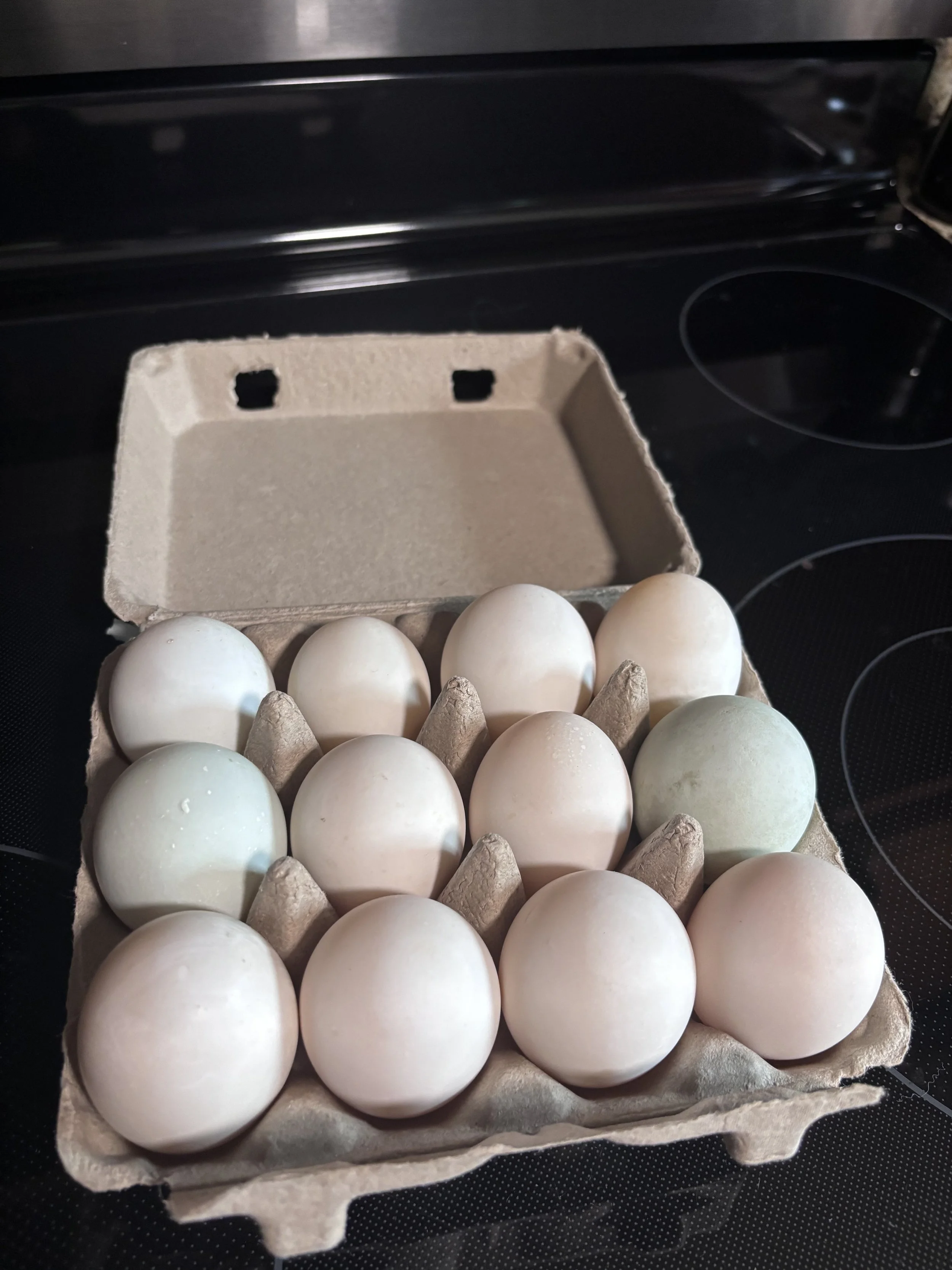 Assorted Duck Eggs (12 count)
