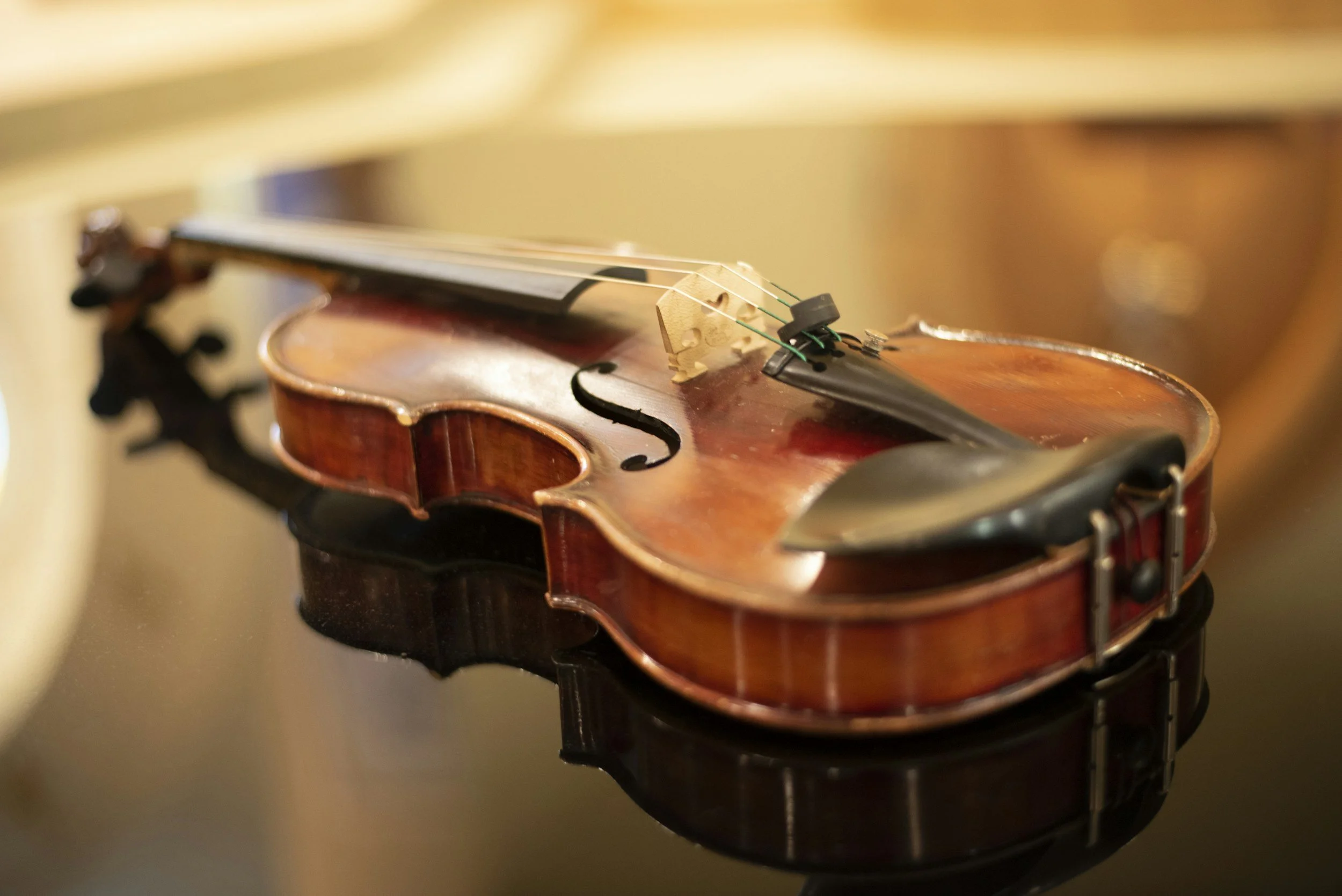 Savannah Cerizo of Luna Solis Live Violin
