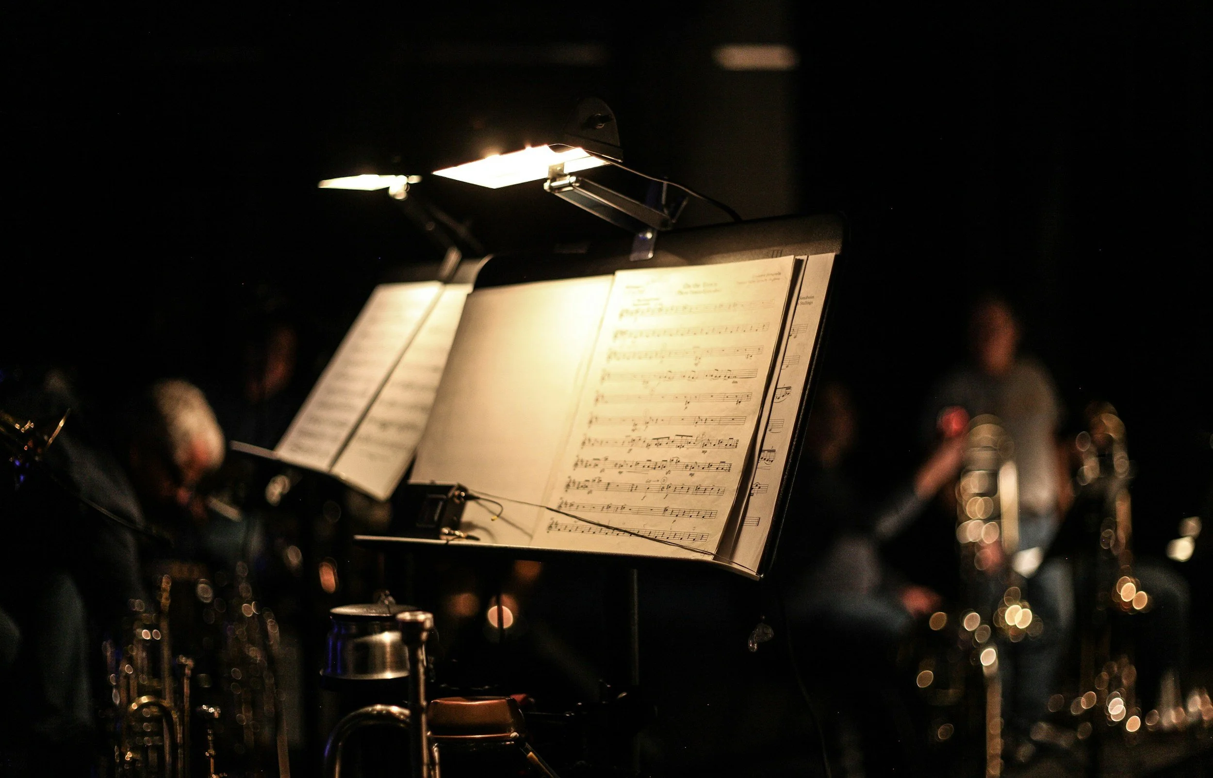 Savannah Cerizo of Luna Solis Live music stand in an orchestra pit.