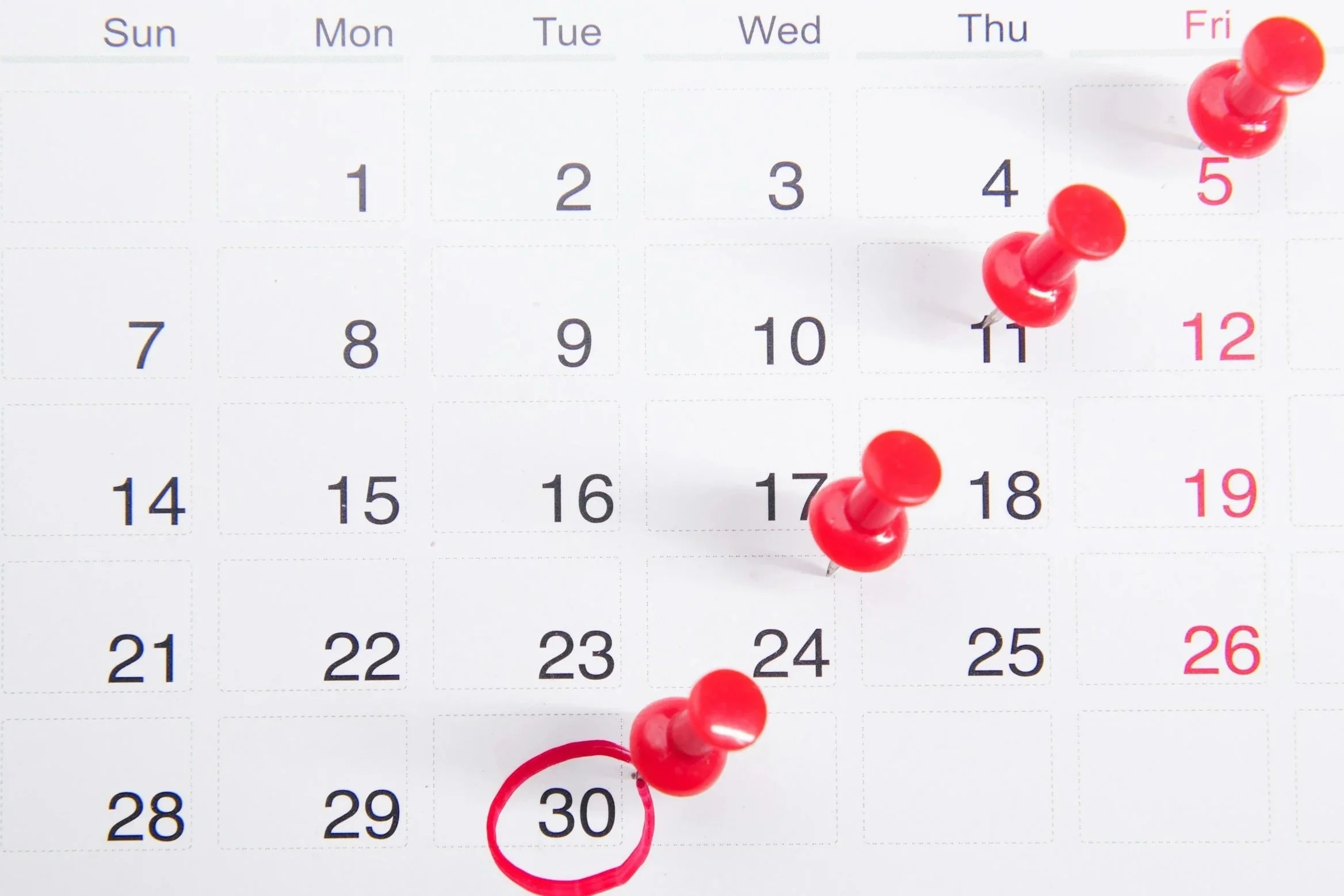 custom schedule