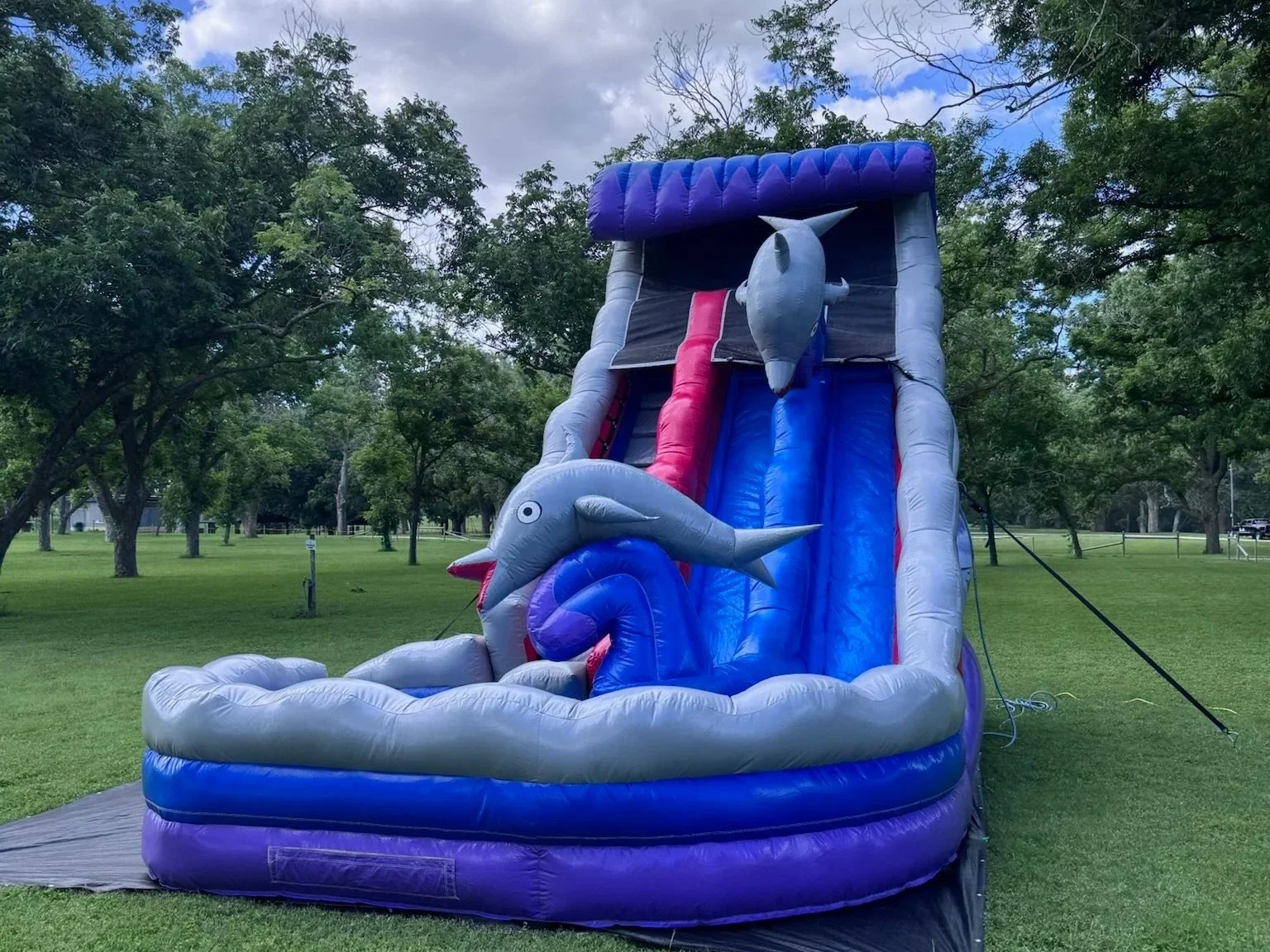 Inflatable water slide with a dolphin theme set up in a park with green grass and trees, under a partly cloudy sky.