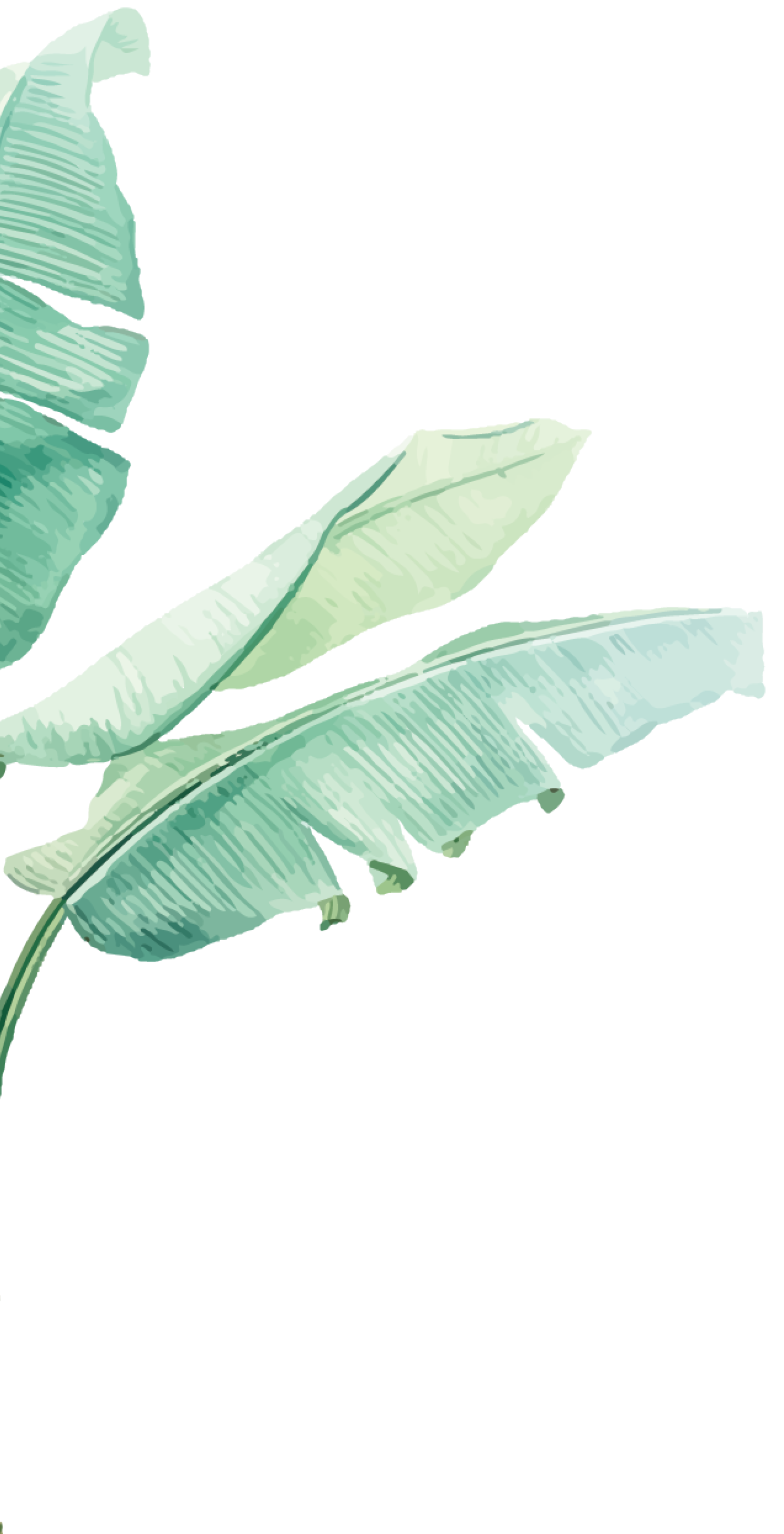 Palm Leaves - Decoration