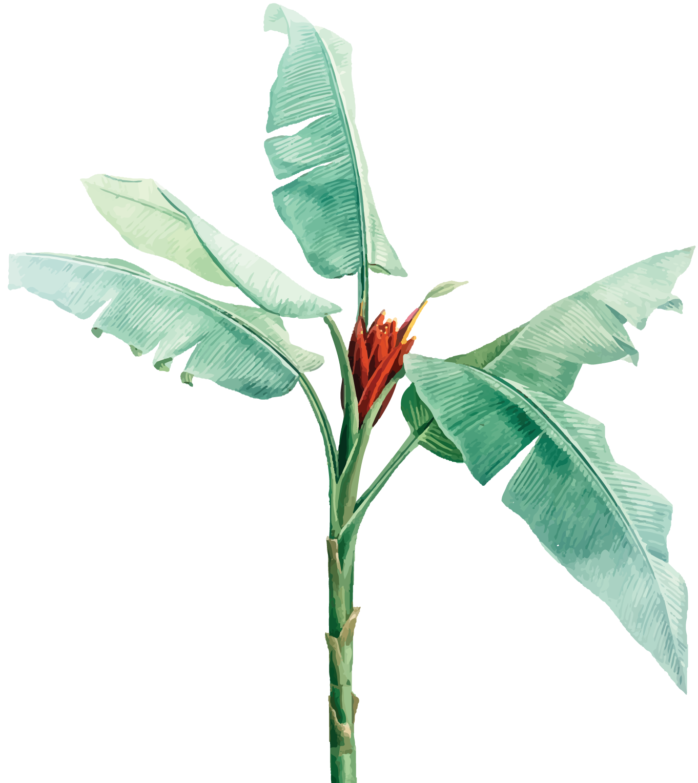 Palm tree - decoration