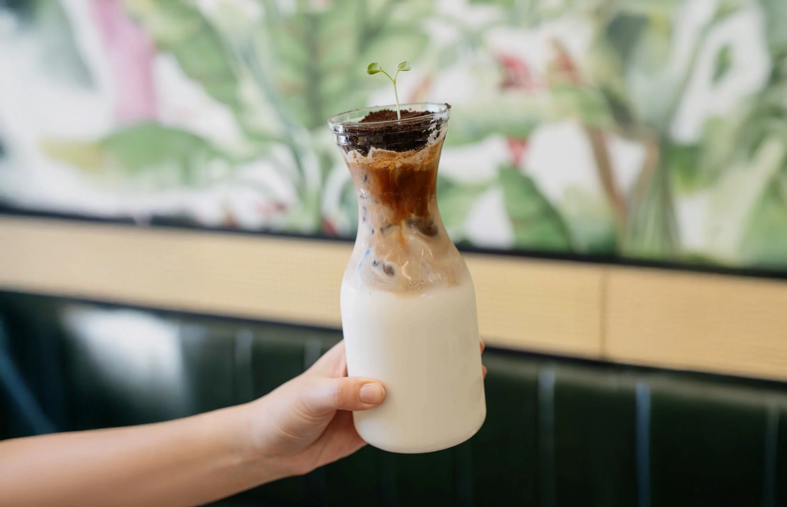 Potted plant latte