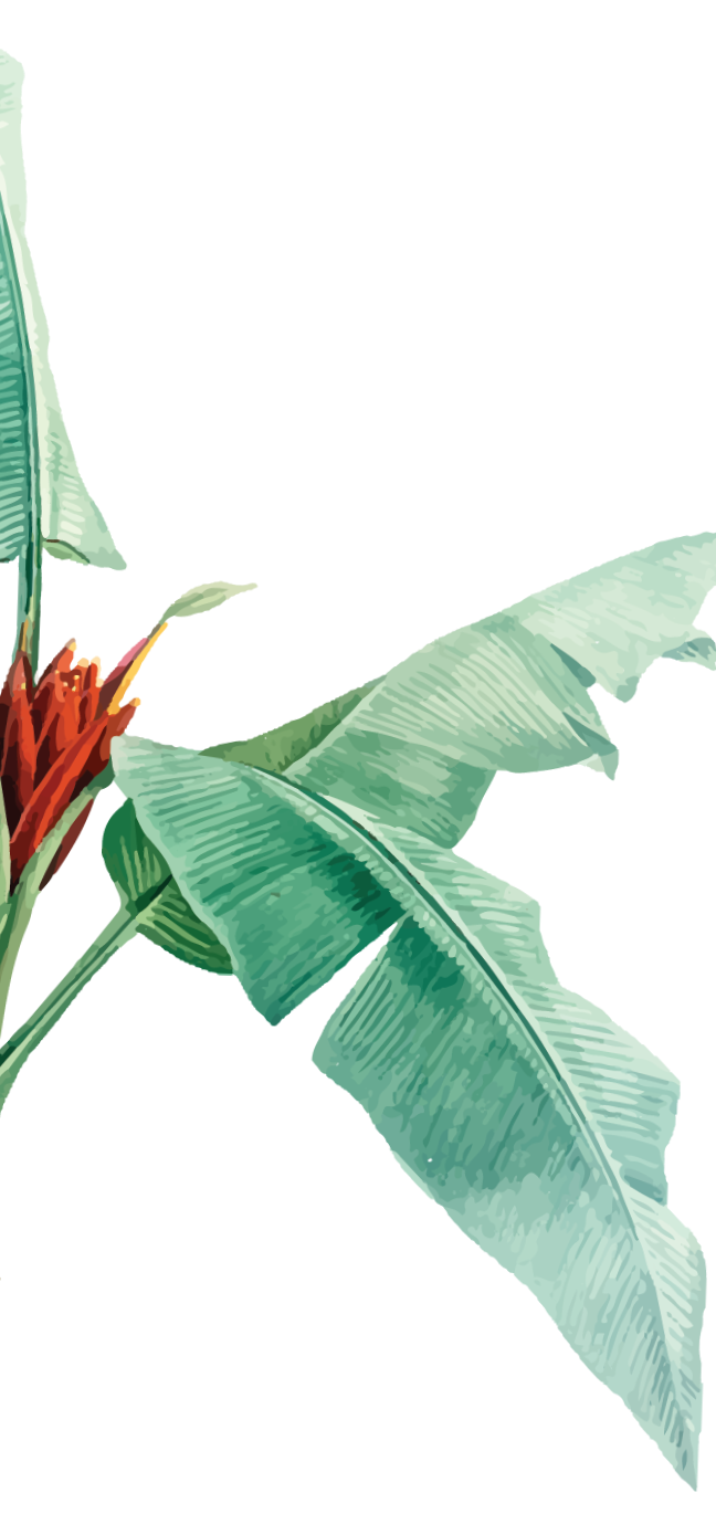 Palm tree - decoration