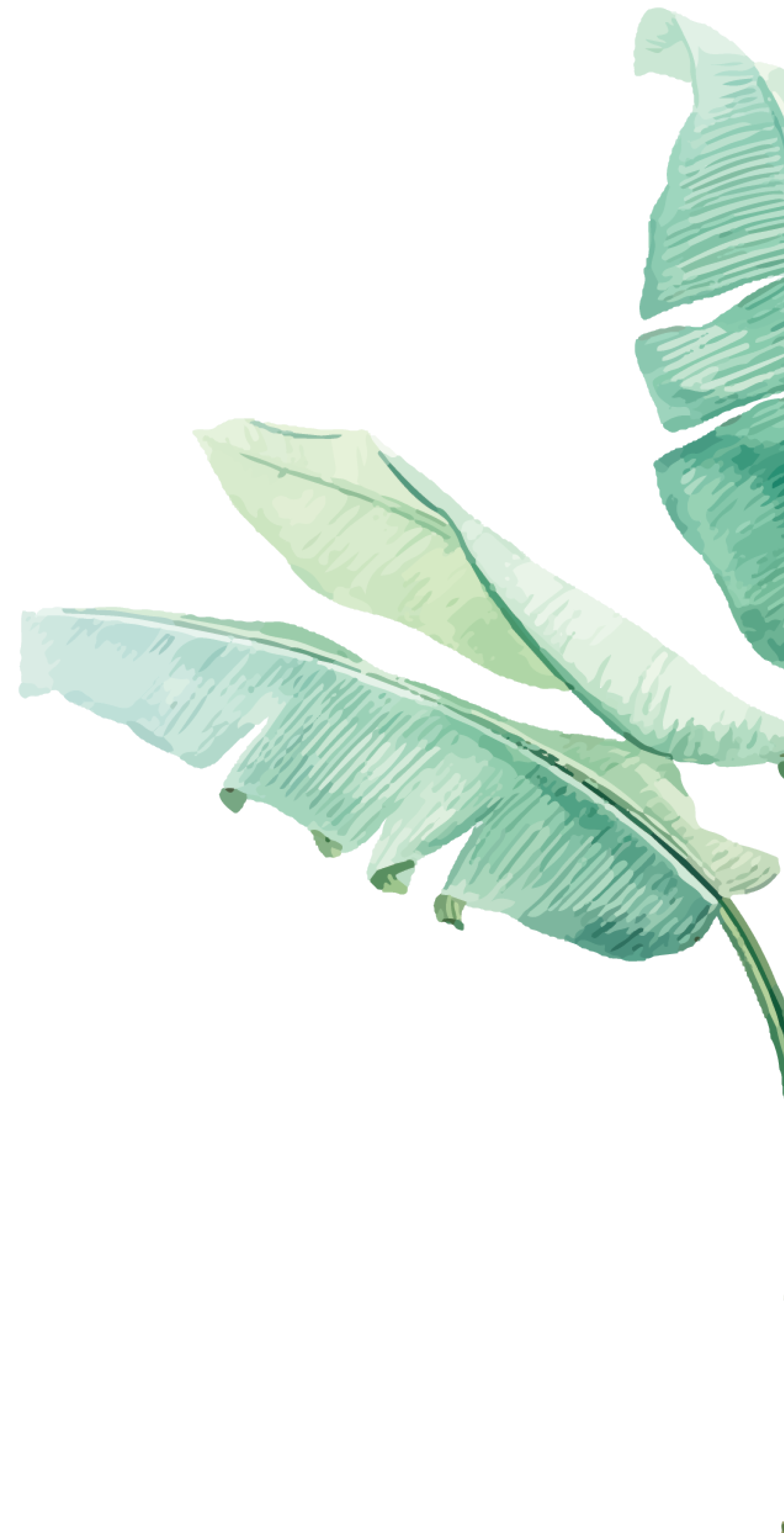 Palm Leaves - Decoration