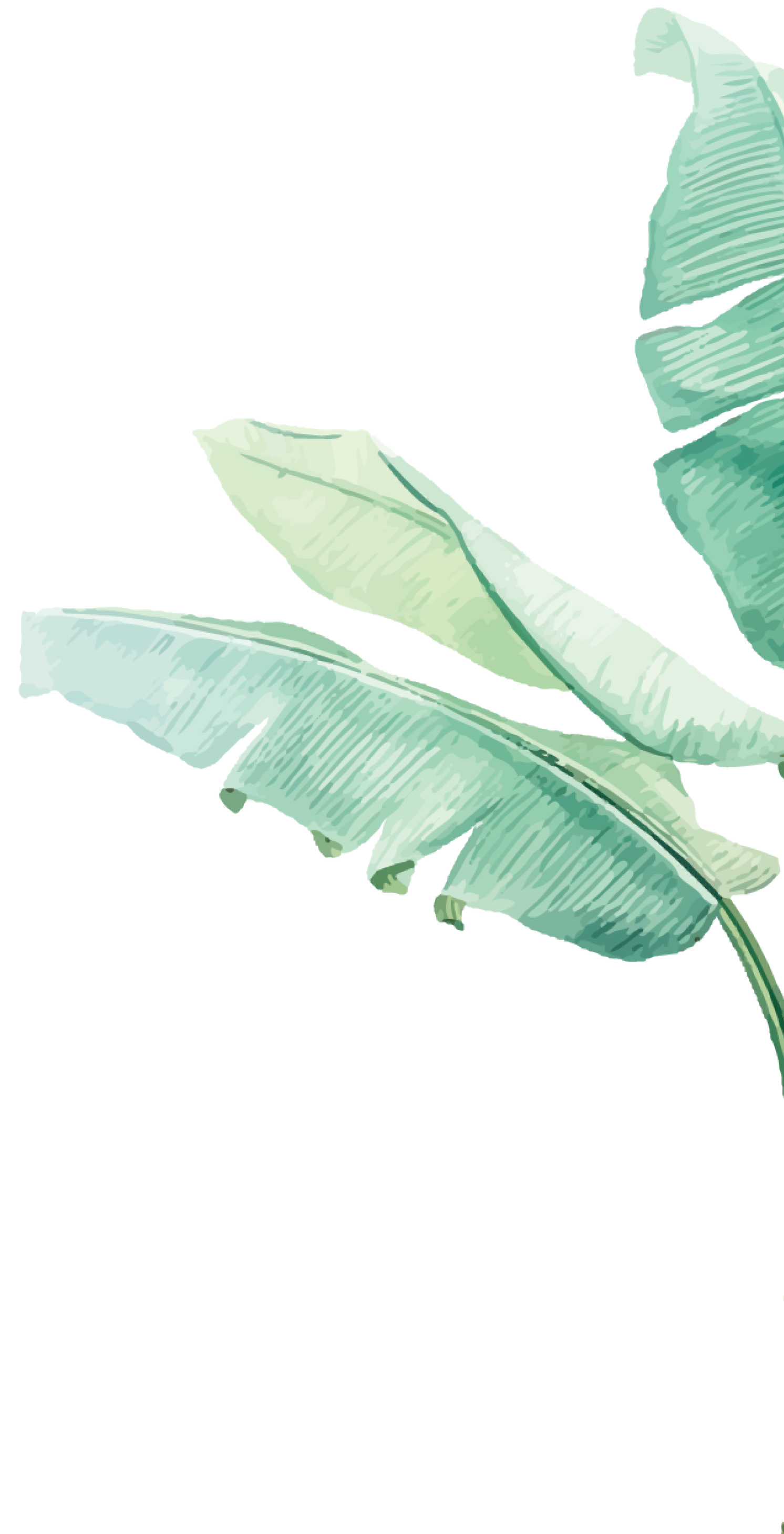 Palm Leaves - Decoration