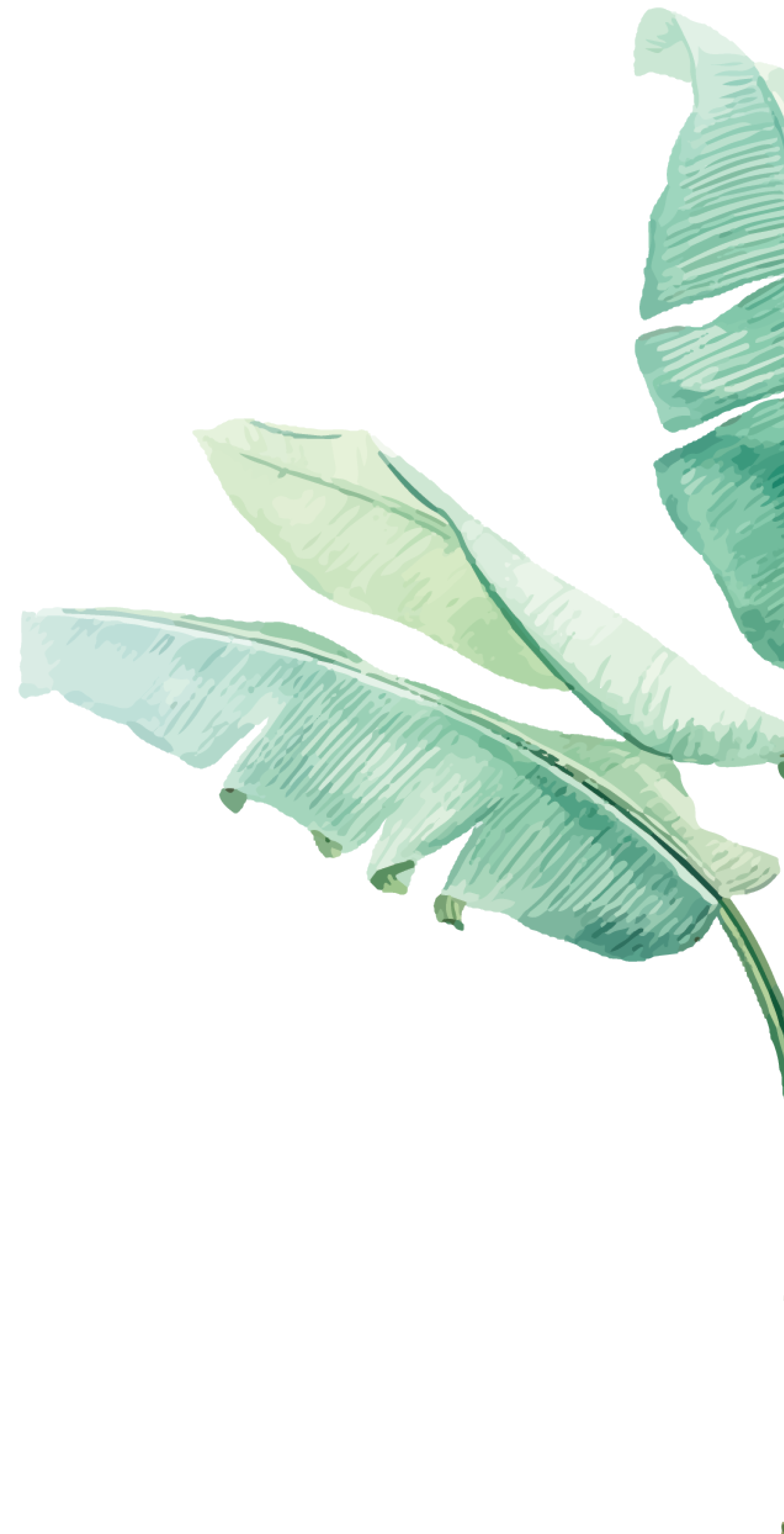 Palm tree leaves - decoration