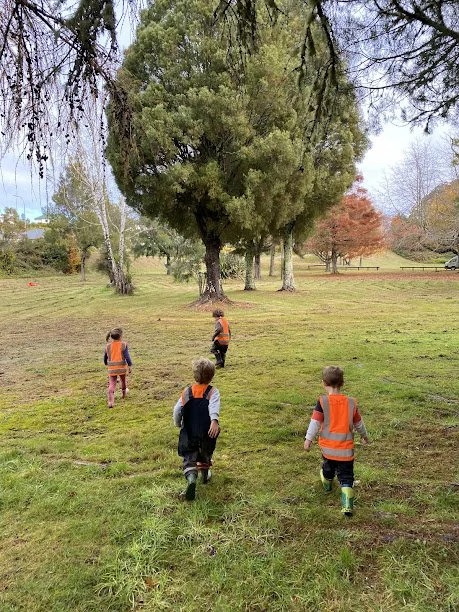 Four children wearing orange safety vests walk across a grassy field towards a large tree, with more trees and a fence in the background.