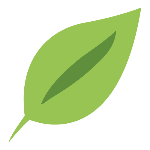 A green leaf with a darker green central vein.