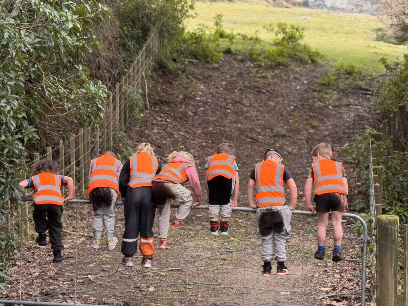 Seven children wearing orange safety vests are climbing over a small metal gate on a trail, with a dirt path and greenery in the background.