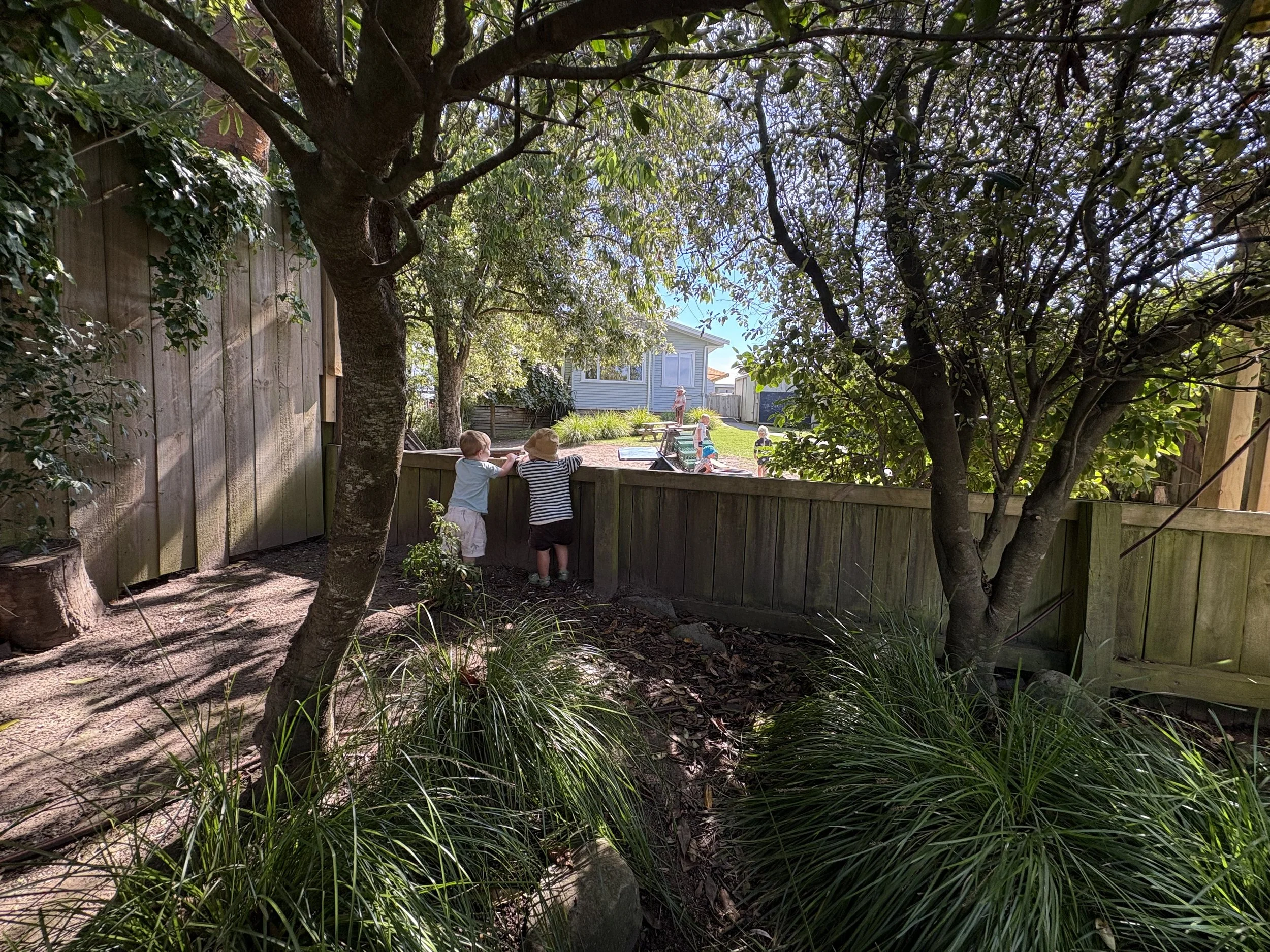 Children playing outside in a backyard, with trees, a wooden fence, a house in the background, and greenery.