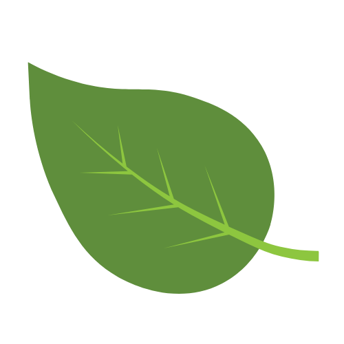 A single green leaf with prominent veins on a black background.