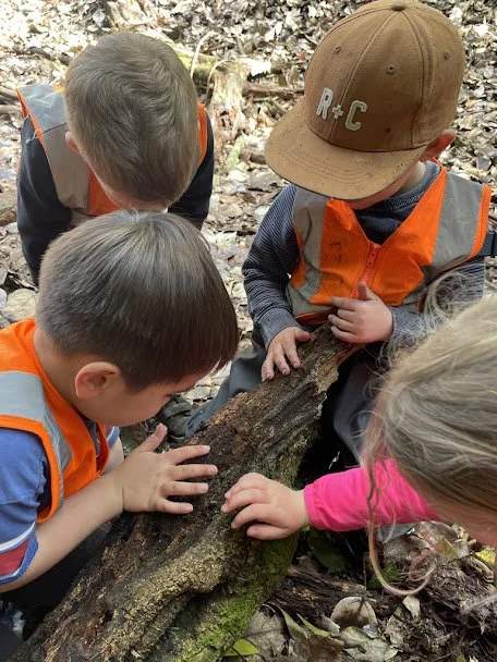 Four young children wearing orange safety vests and one wearing a brown cap with