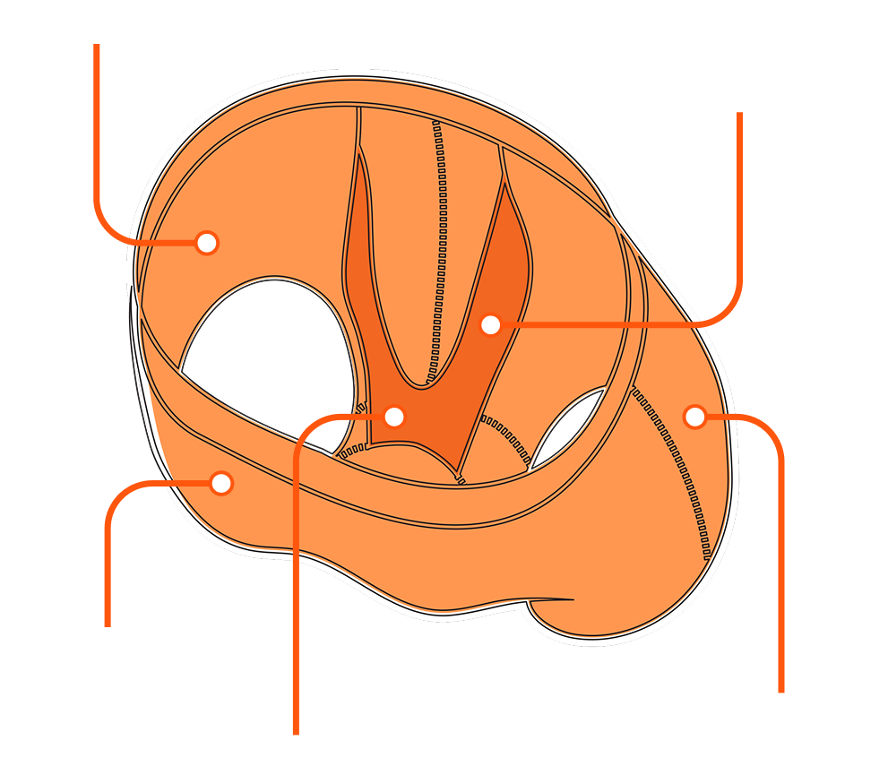 Diagram of a sports mouthguard showing features such as anti-microbial, complete support, breathable, moisture wicking, and odor-resistant.
