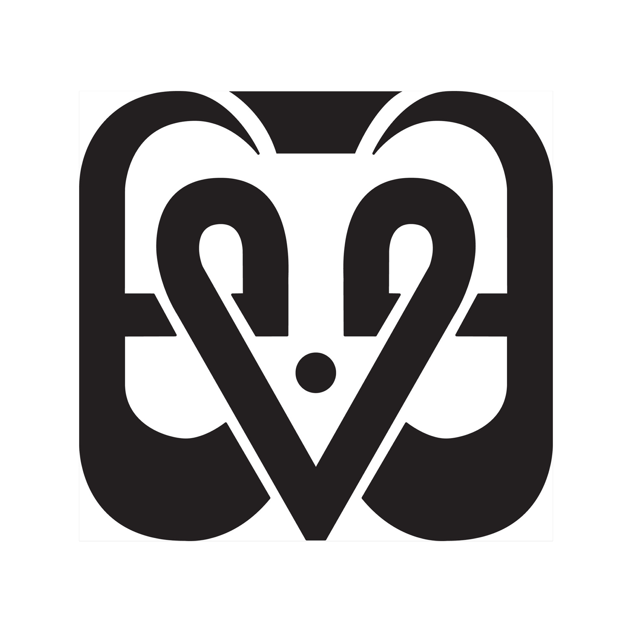 Evolved Movement Arts - Radiomud Creative Studios Partner