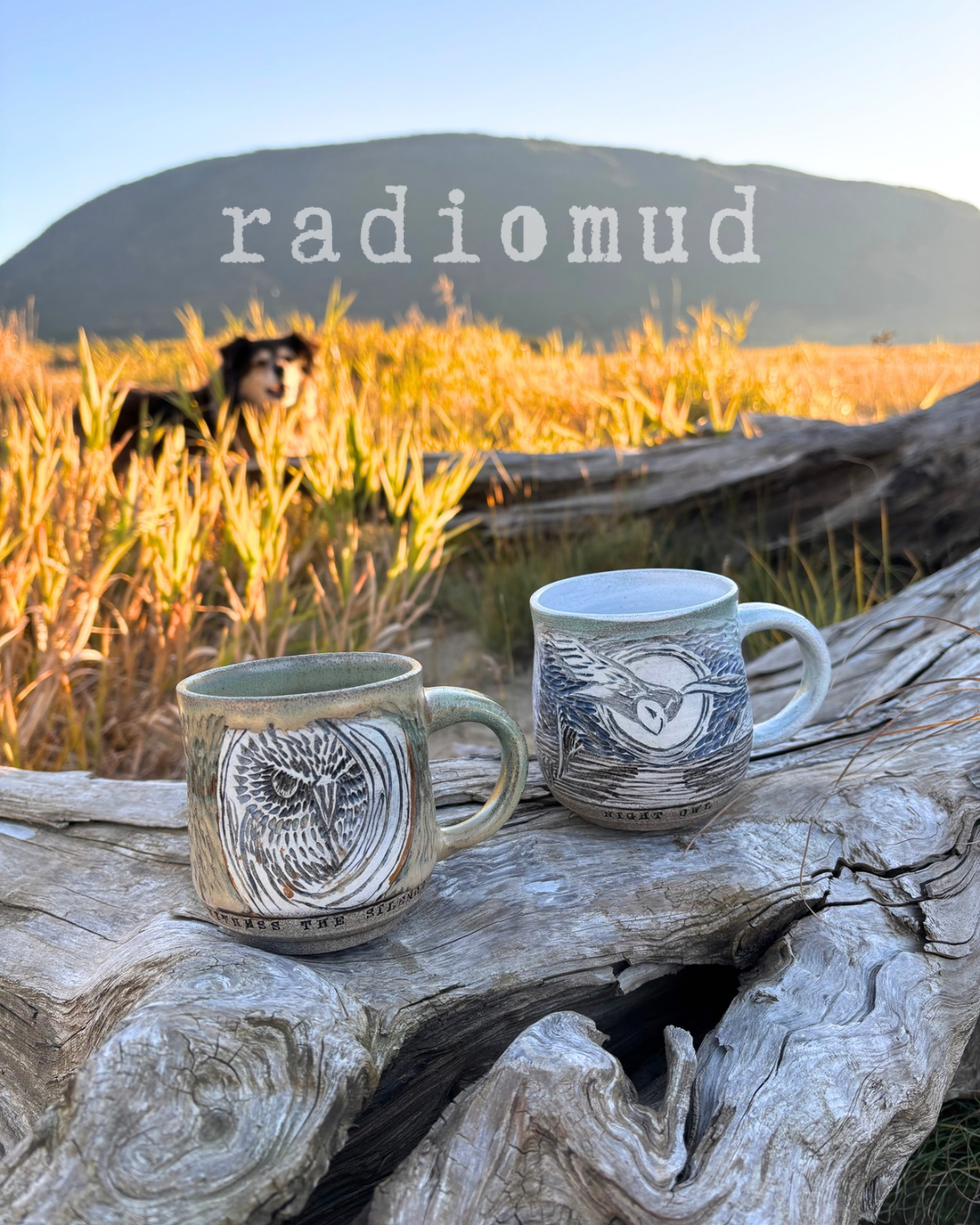 Mugs