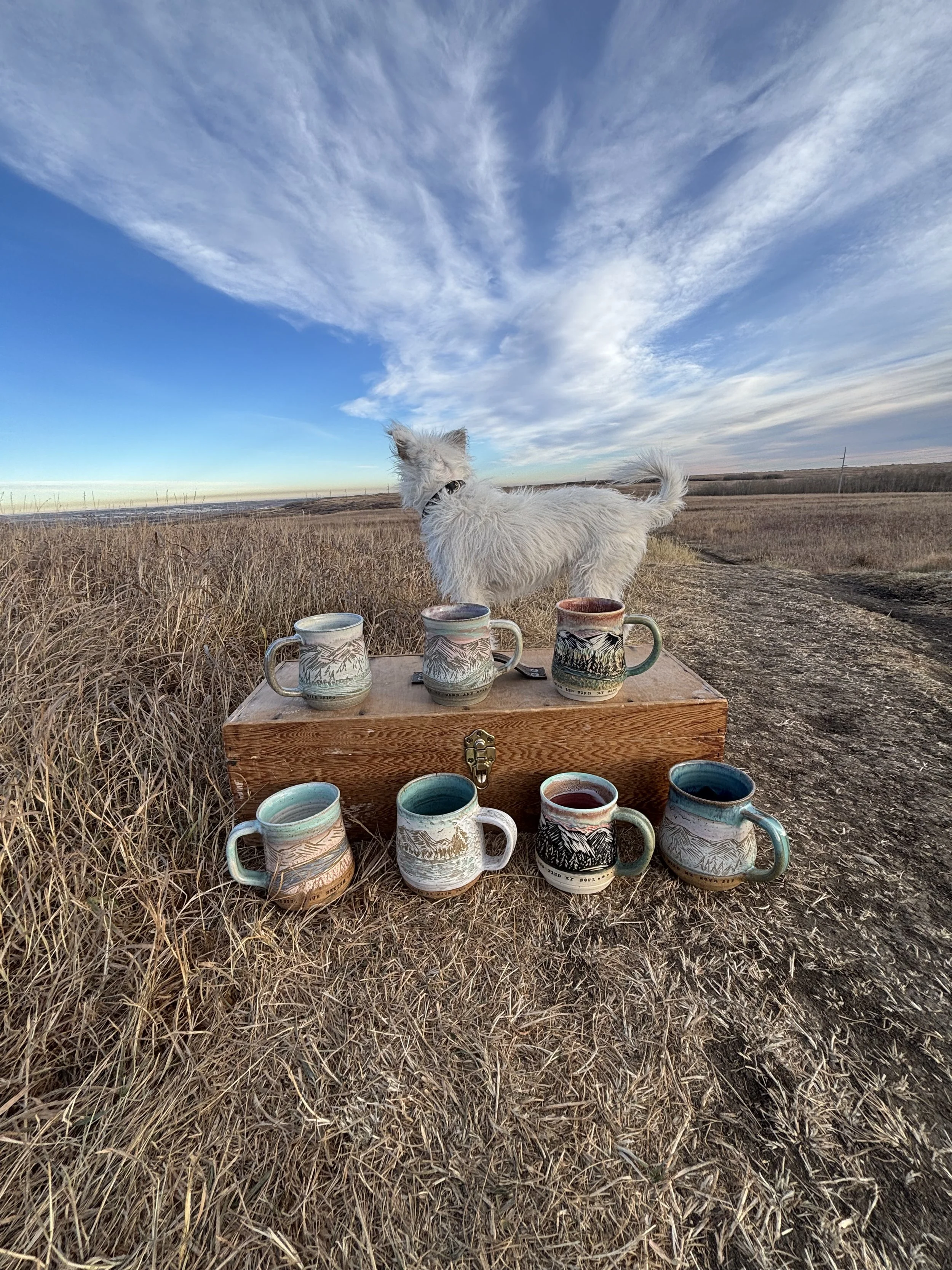 Radiomud Pottery | Mountain Mugs on Nose Hill, Calgary, AB