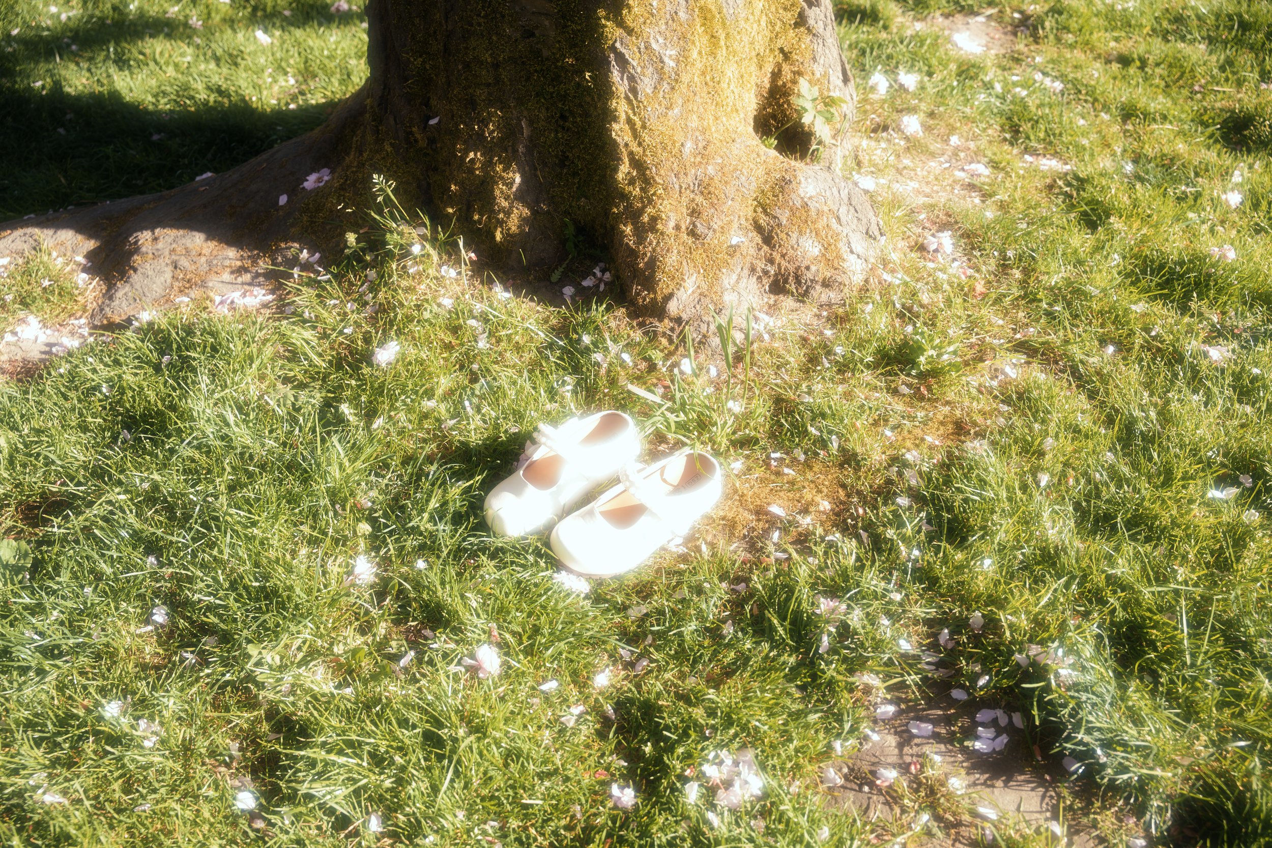 DSC07276-1.jpg