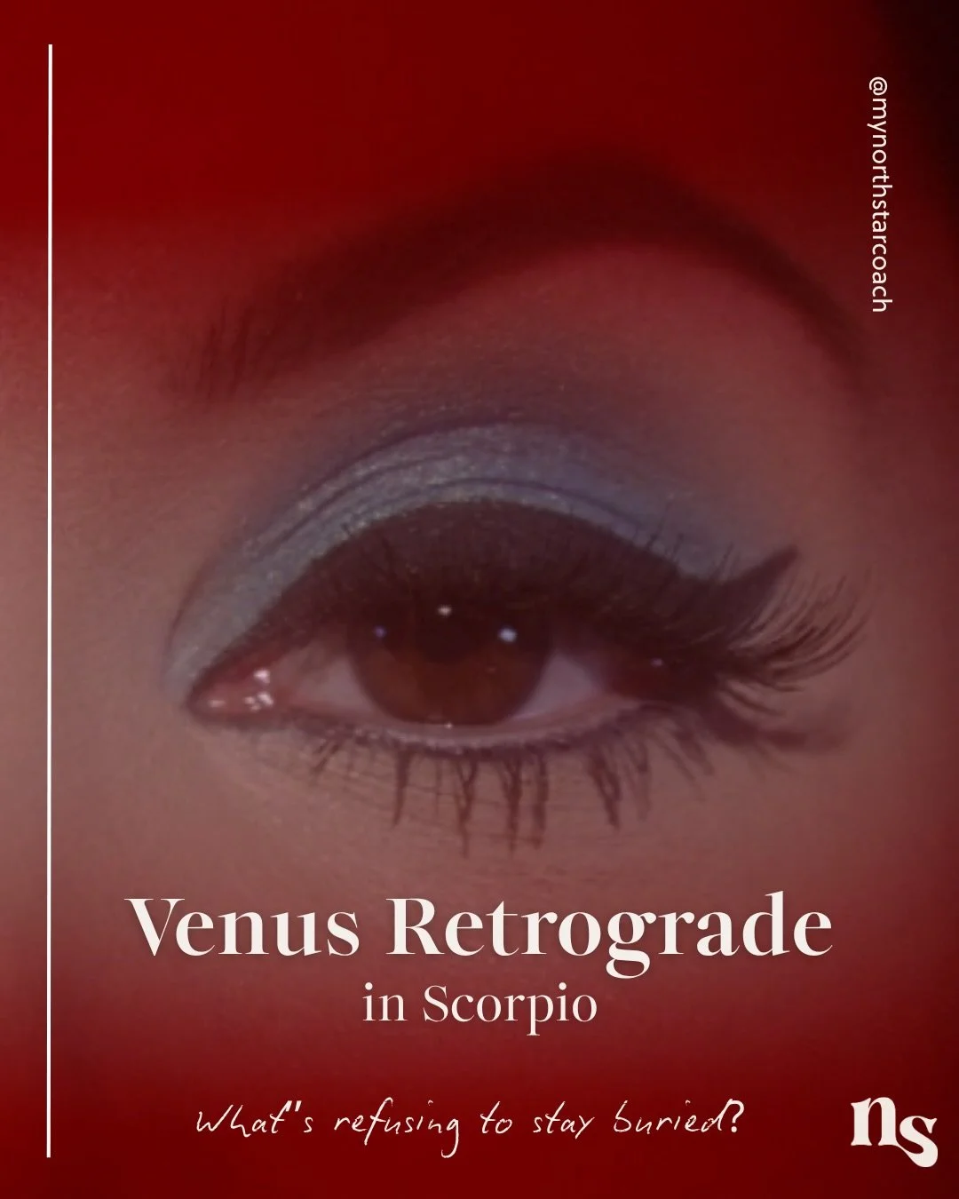 Venus Retrograde: desire has a long memory. 🦂🥀🍷🕯️
