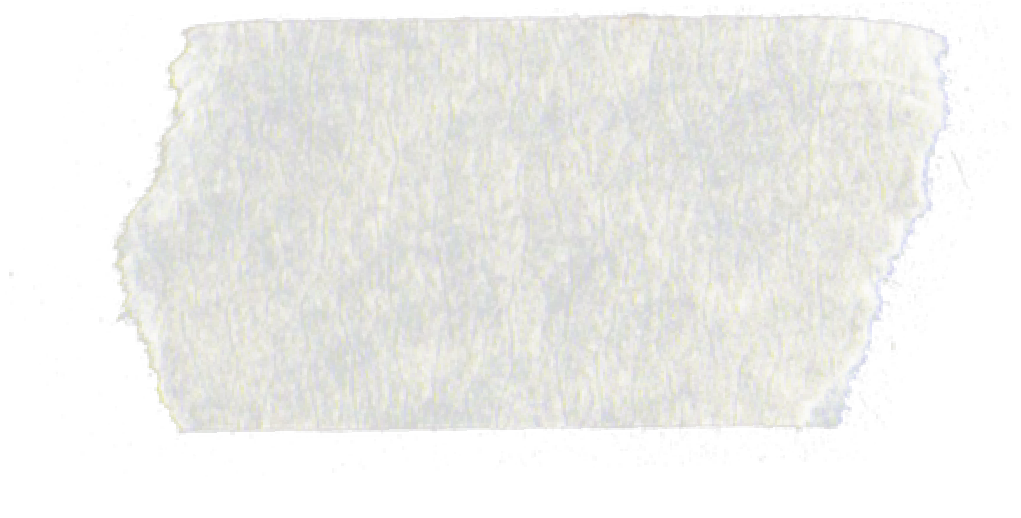 Close-up of a worn piece of white fabric or material with a rough texture.