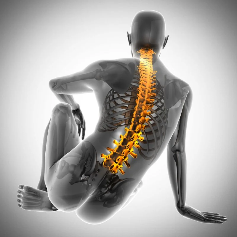 DEXA spine and body composition scan illustration, Form Imaging at Pure Senses