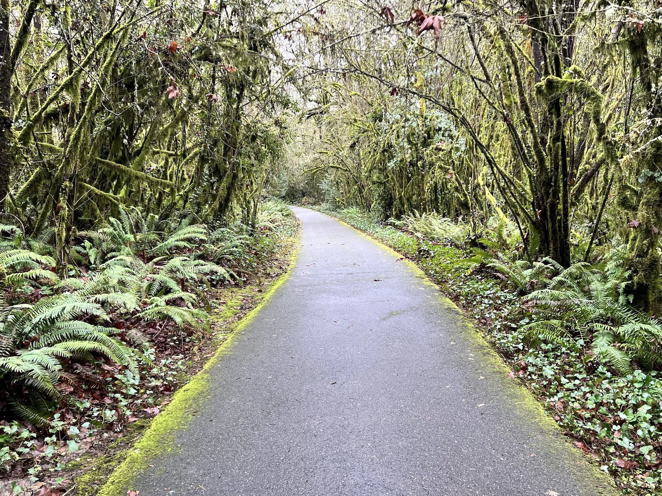 Open Way Portland Oregon