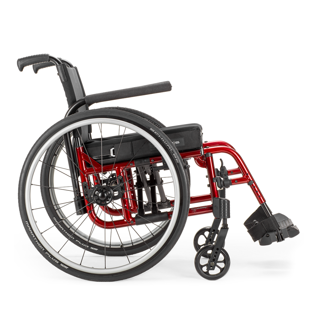 Website image -  Cat 5.png
