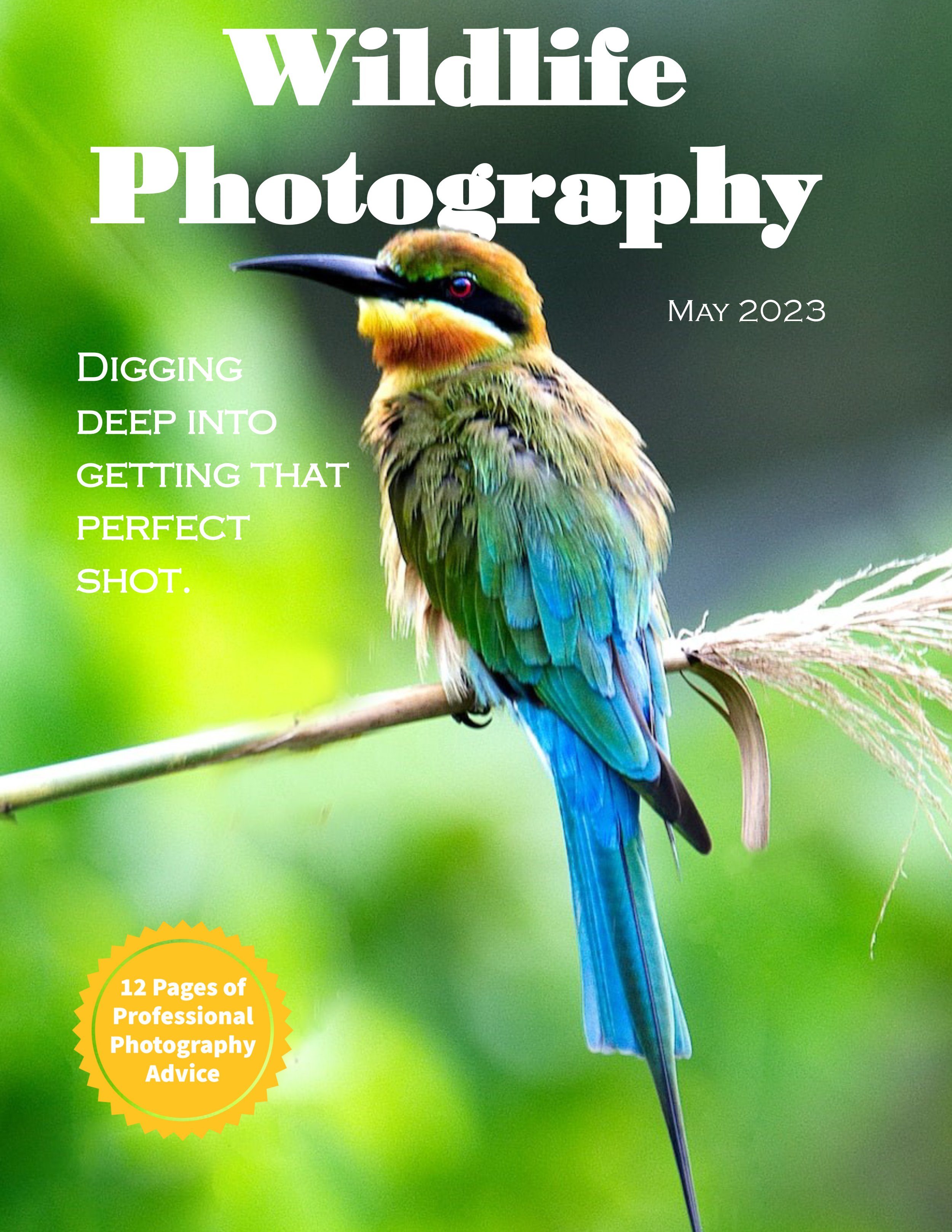 Wildlife Photography Magazine