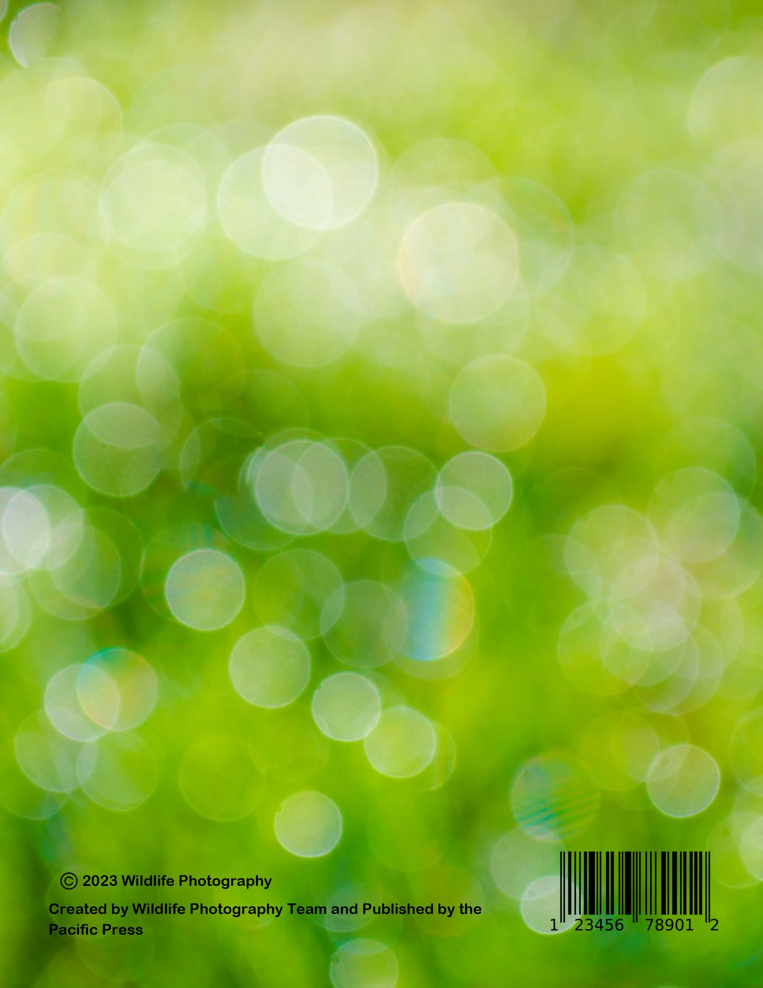 WildlifePhotographyMagazine3-12.jpg
