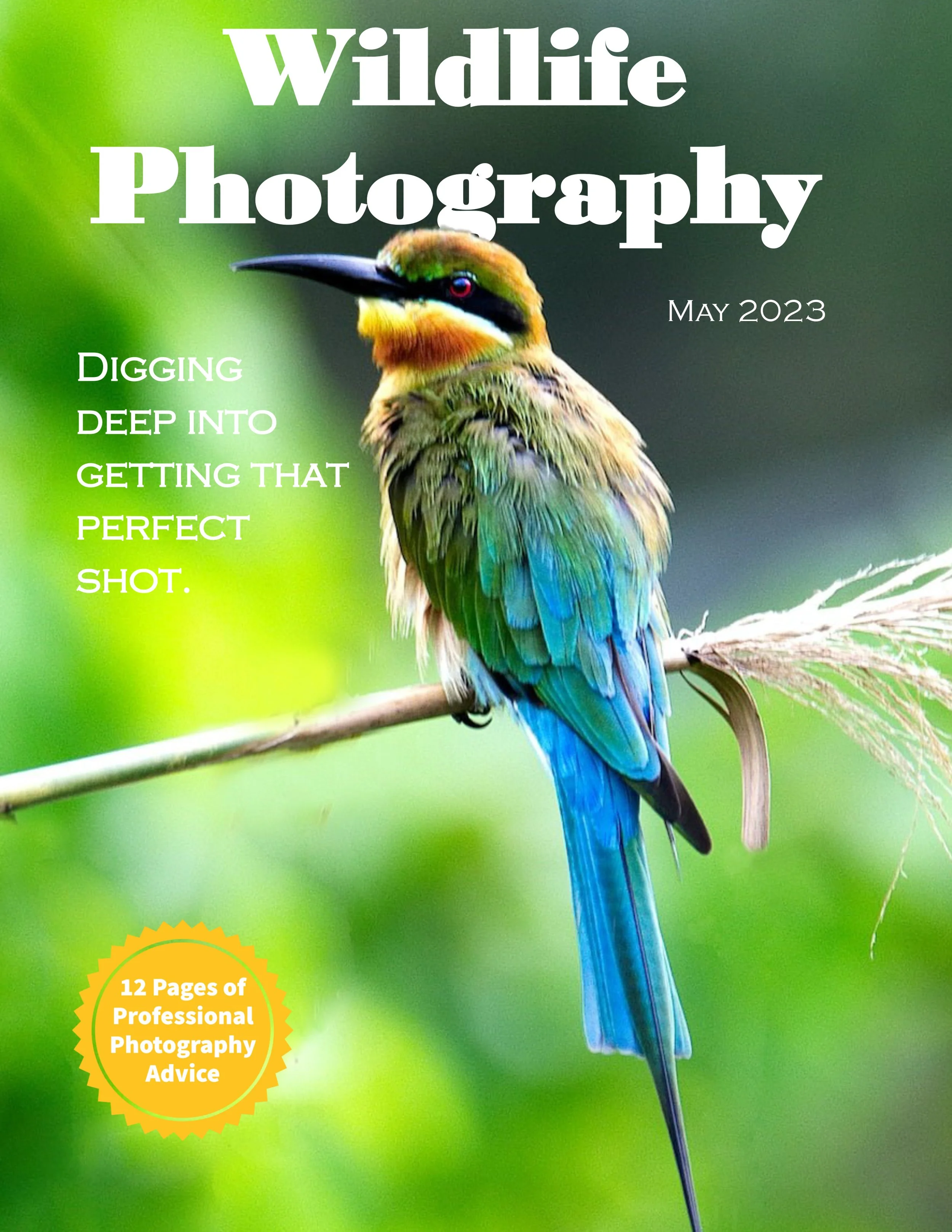 WildlifePhotographyMagazine3-1.jpg